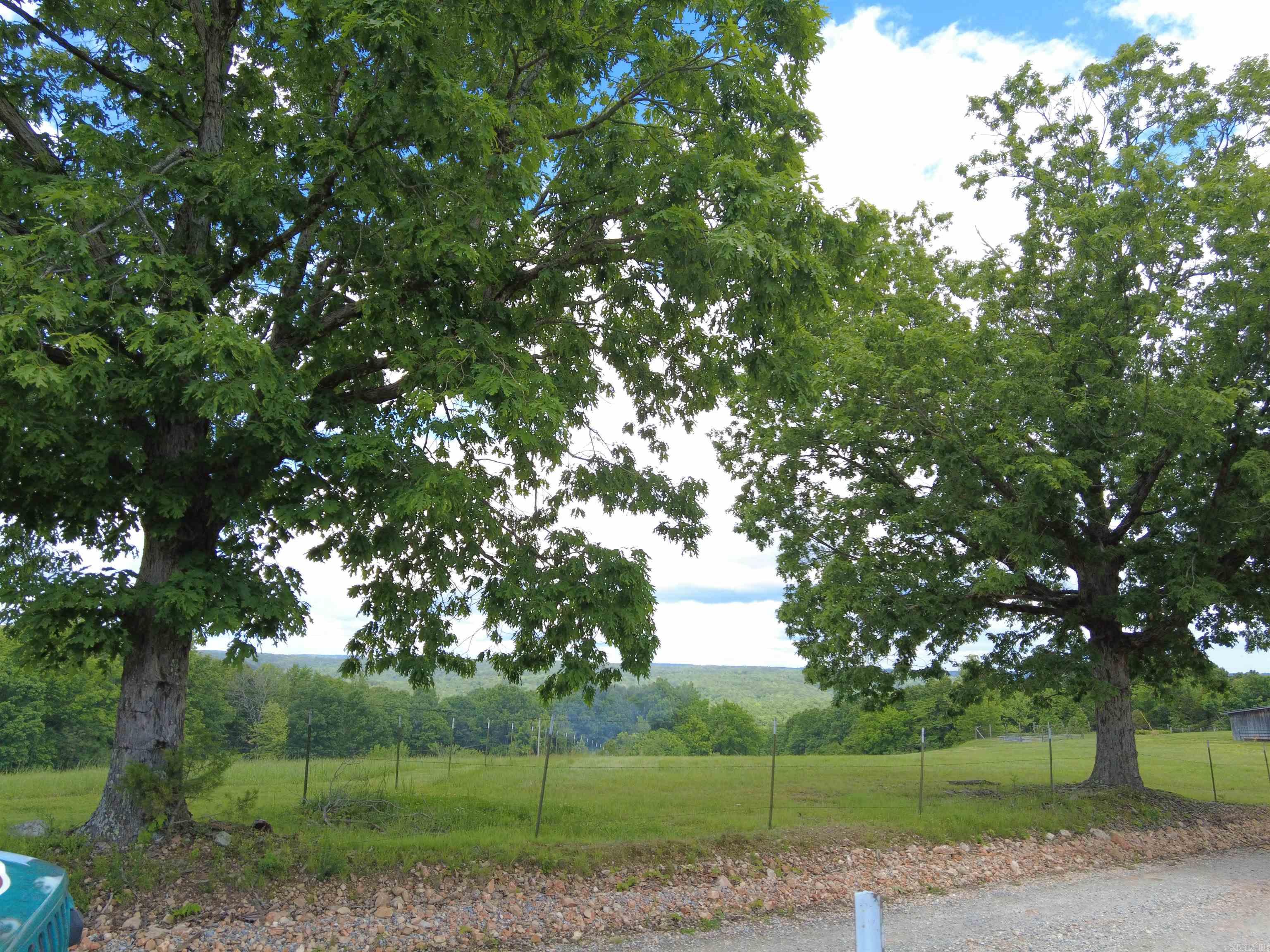 1366  Holmes  Mountain View, AR