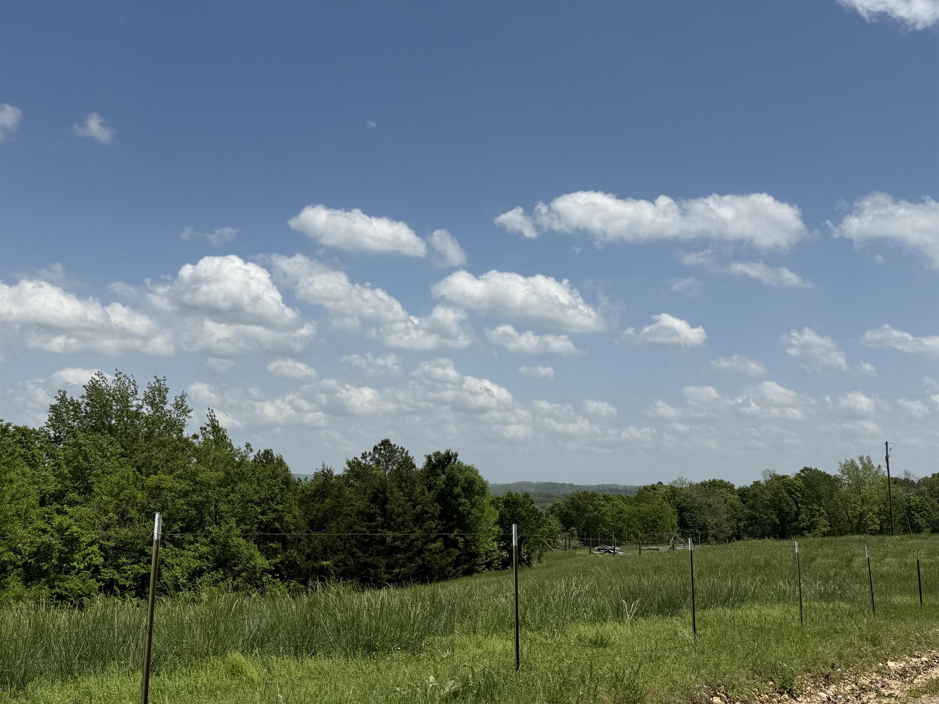 1366  Holmes  Mountain View, AR