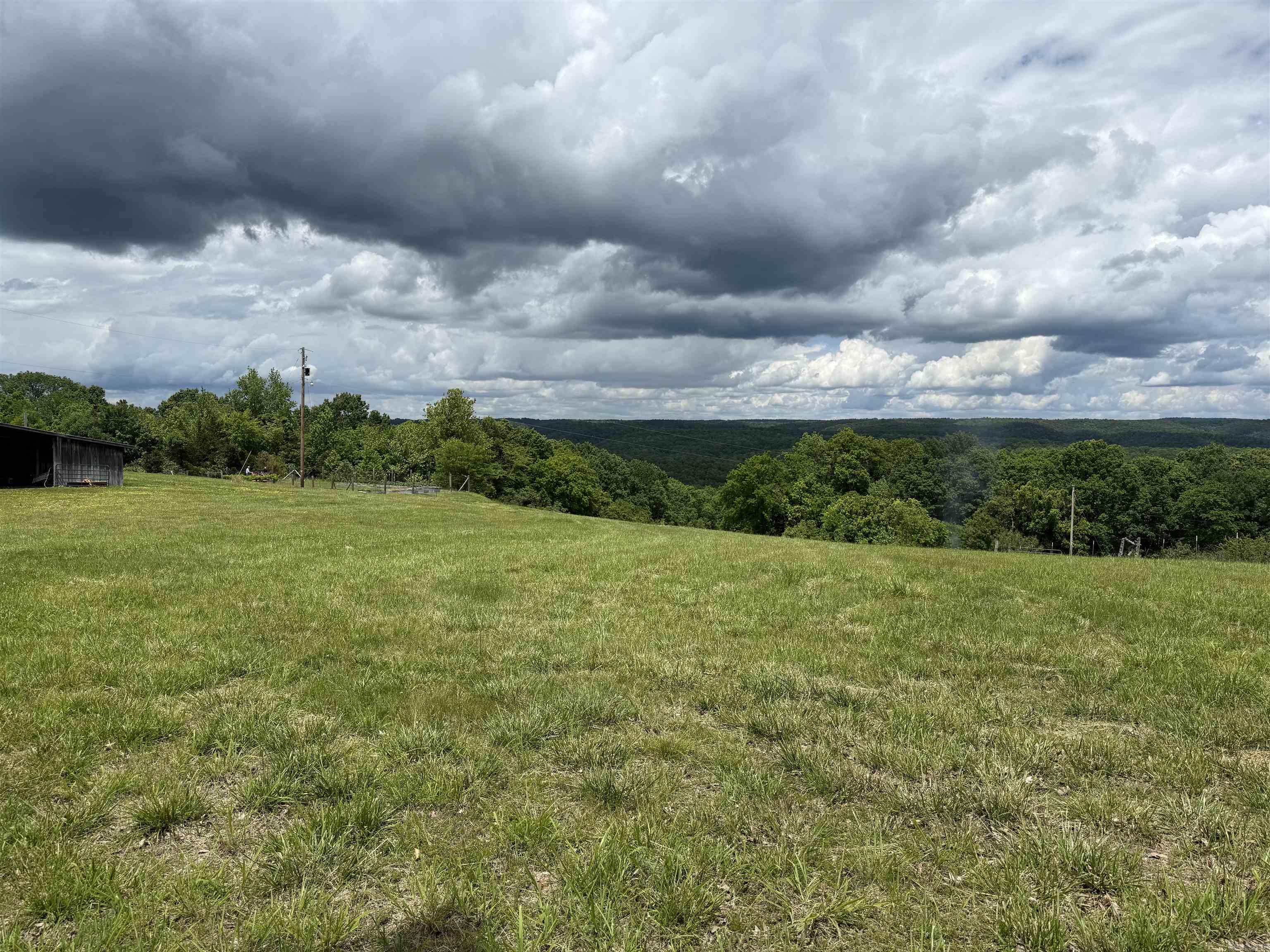 1366  Holmes  Mountain View, AR