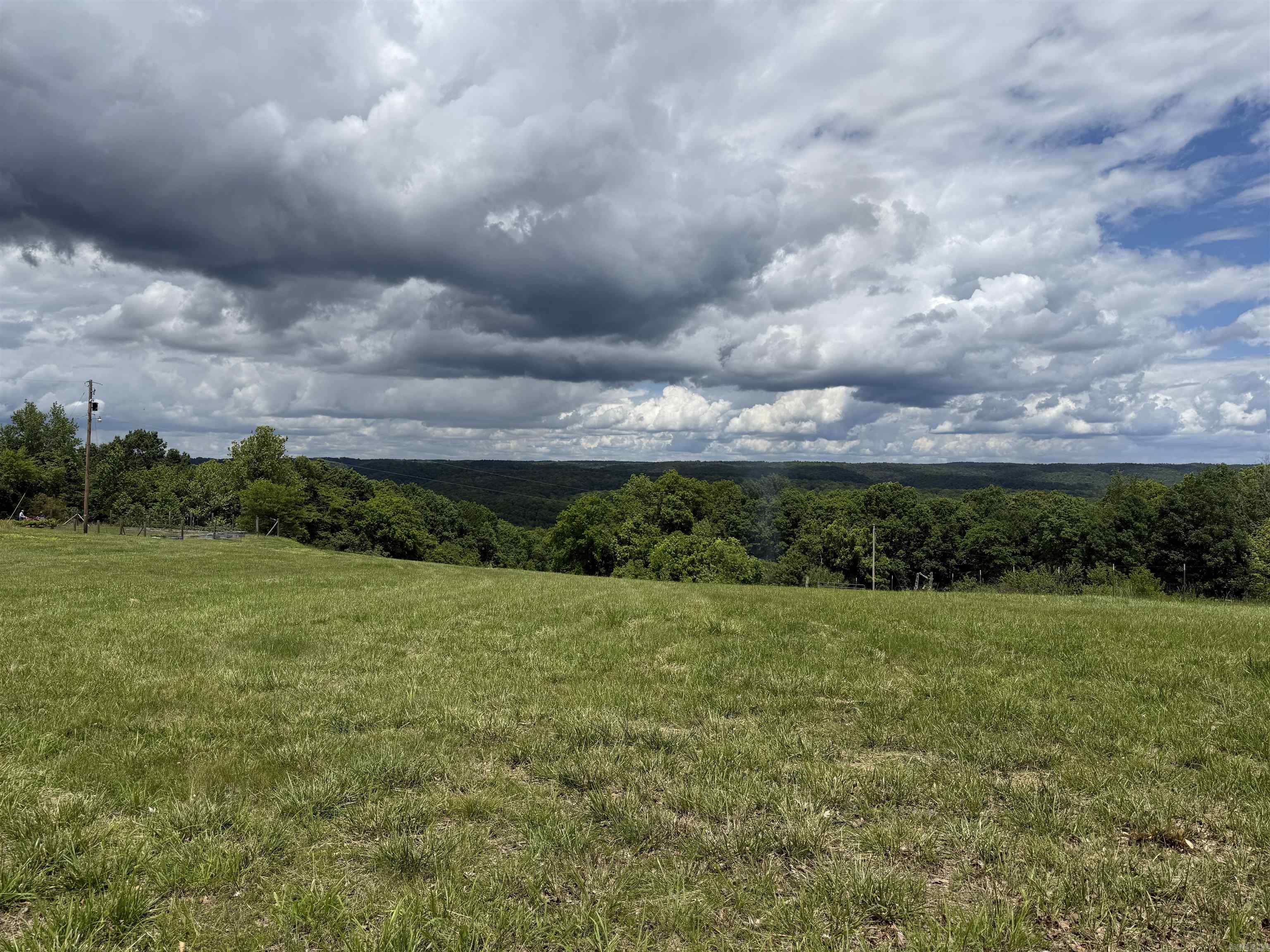 1366  Holmes  Mountain View, AR