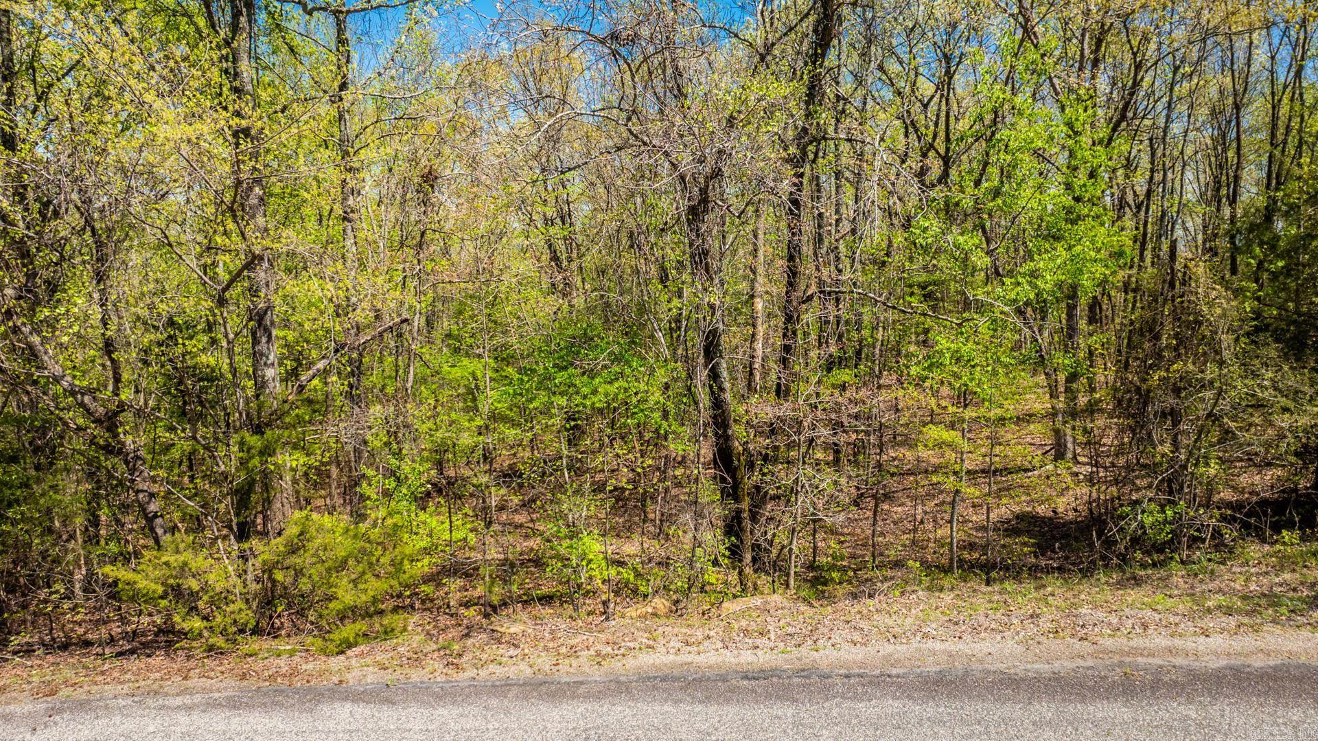 00  River View  Heber Springs, AR