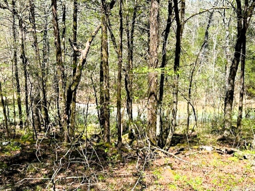   Old Hwy 5  Mountain View, AR