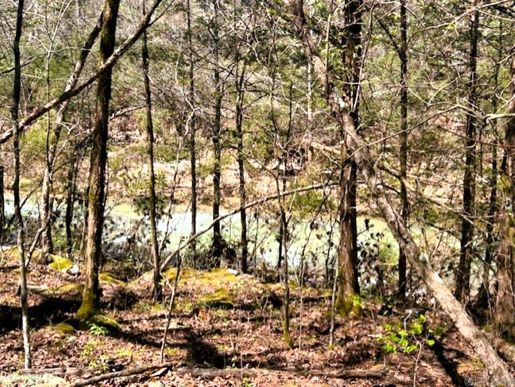   Old Hwy 5  Mountain View, AR