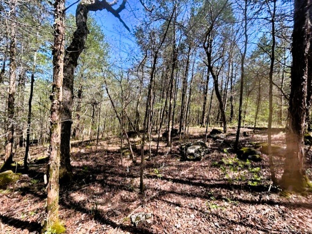   Old Hwy 5  Mountain View, AR