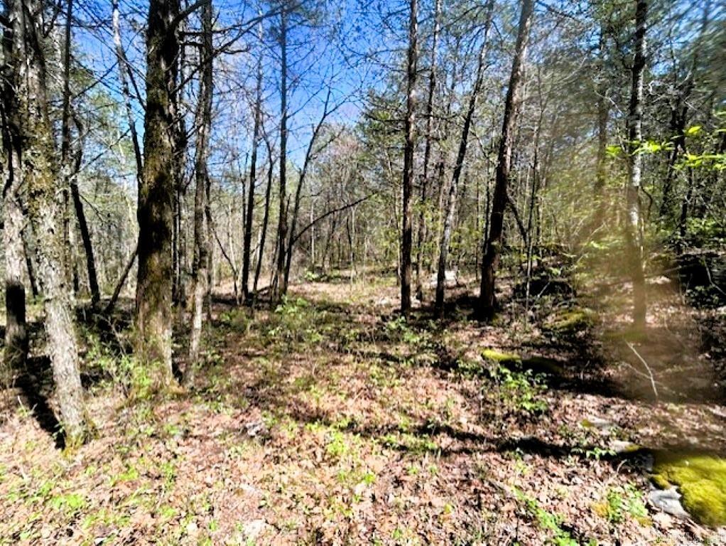   Old Hwy 5  Mountain View, AR