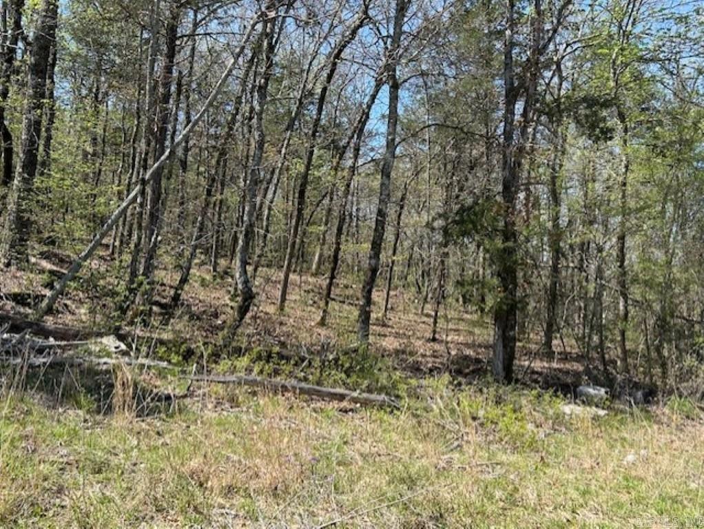   Old Hwy 5  Mountain View, AR