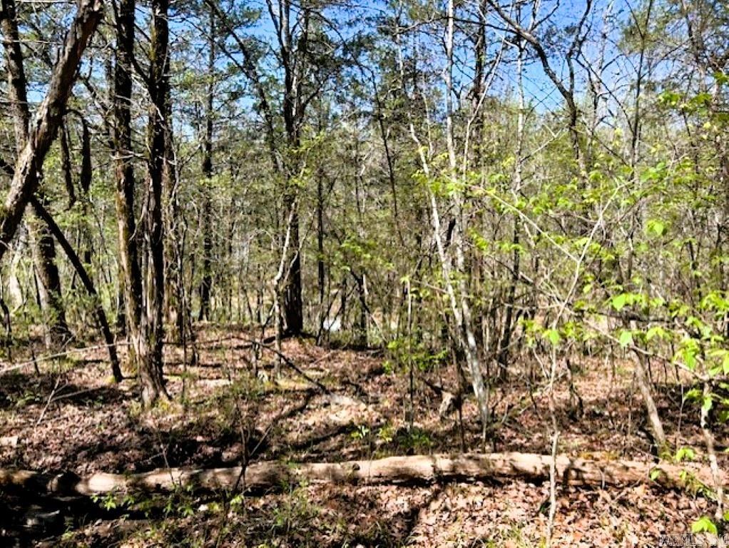   Old Hwy 5  Mountain View, AR