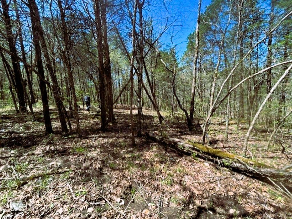   Old Hwy 5  Mountain View, AR