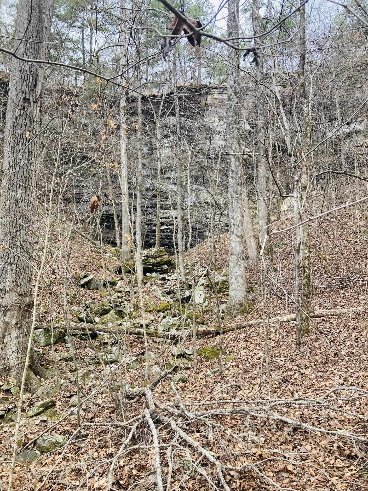 10  Campbell Lane  Calico Rock, AR