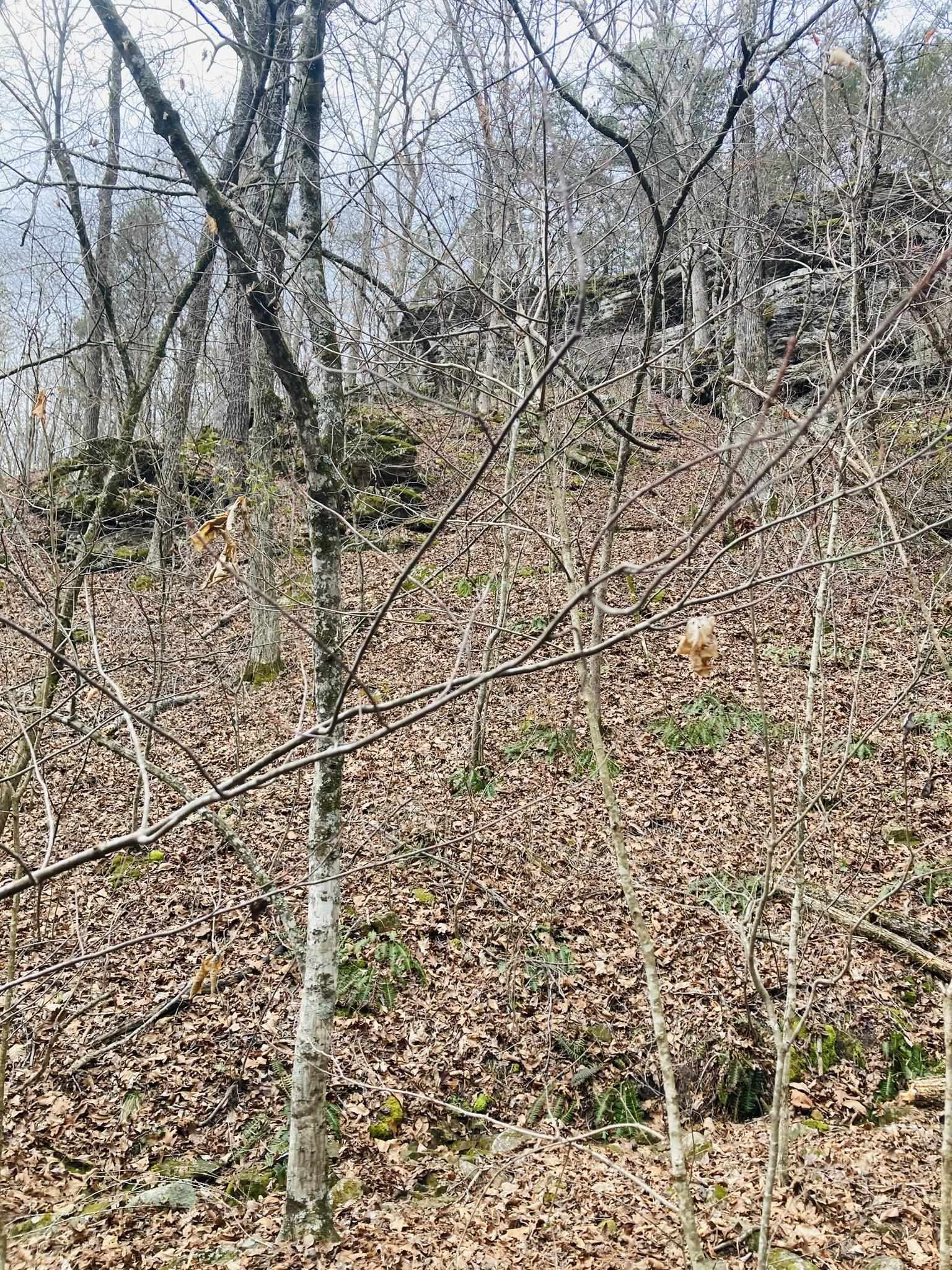10  Campbell Lane  Calico Rock, AR