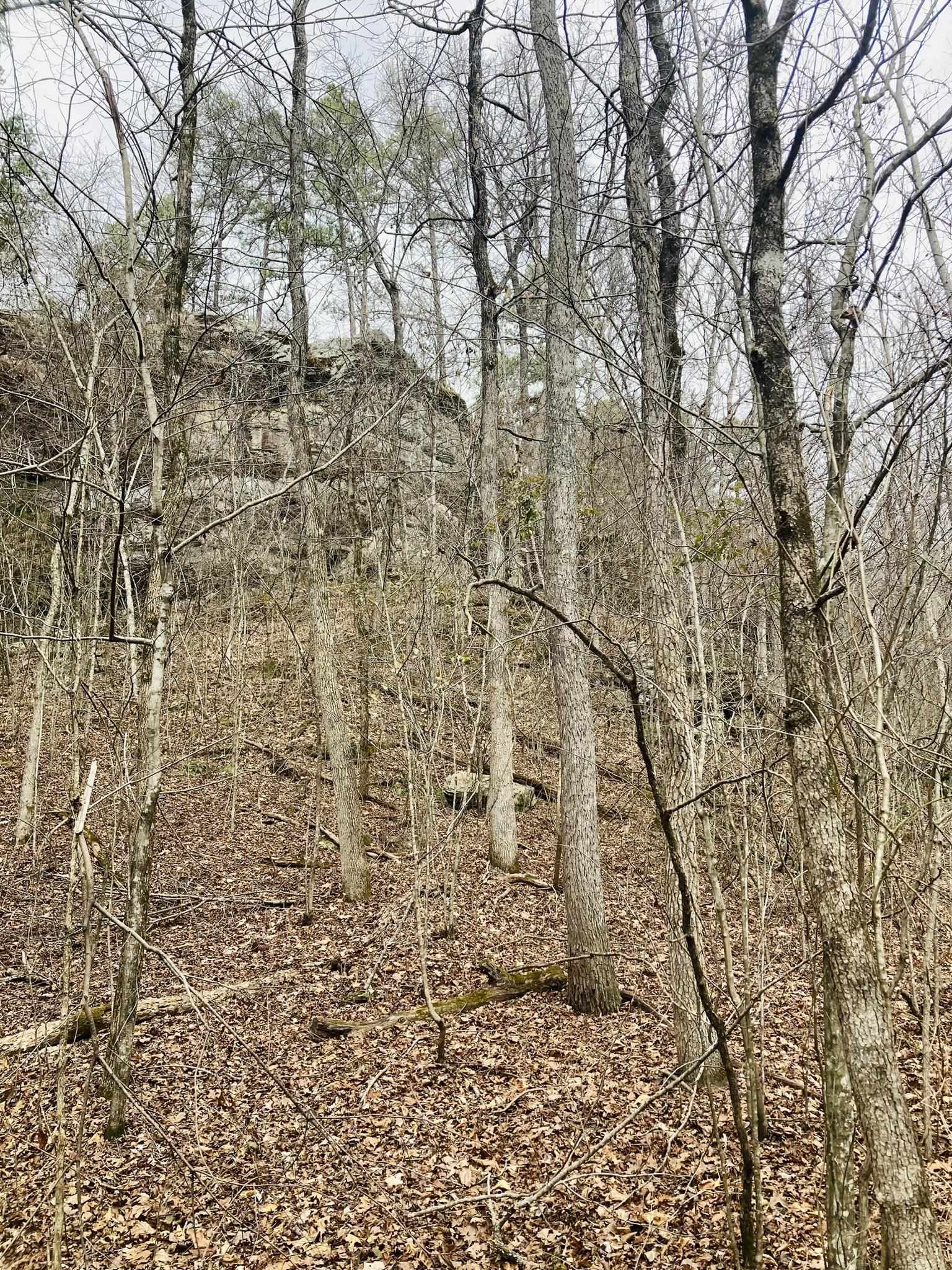 10  Campbell Lane  Calico Rock, AR