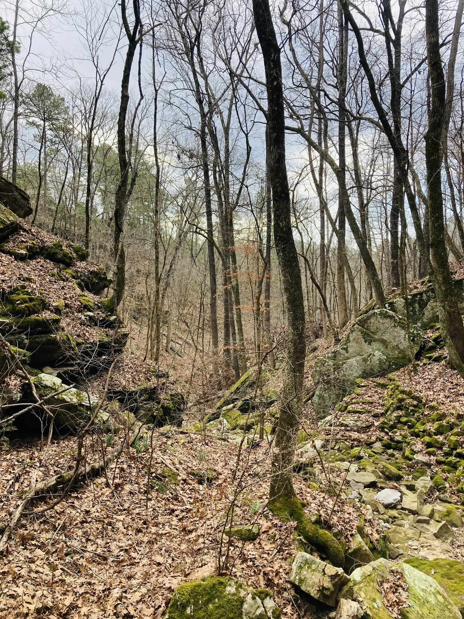 10  Campbell Lane  Calico Rock, AR