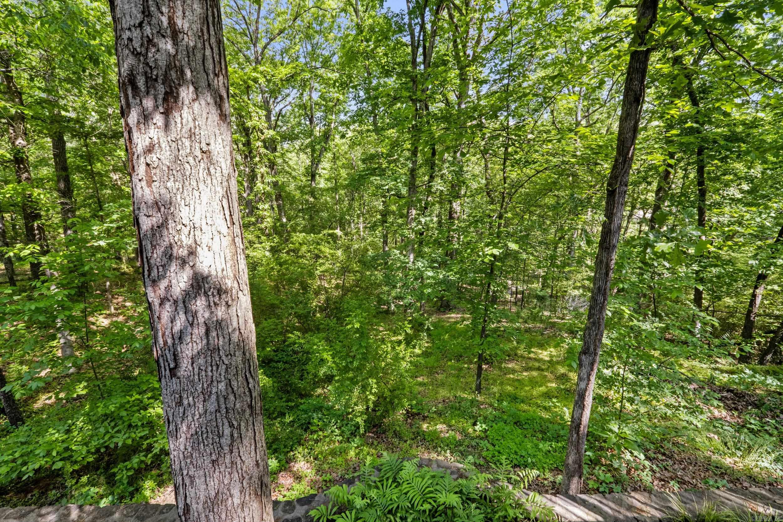 1805 Hasbrook Ct North Little Rock, AR 72116
