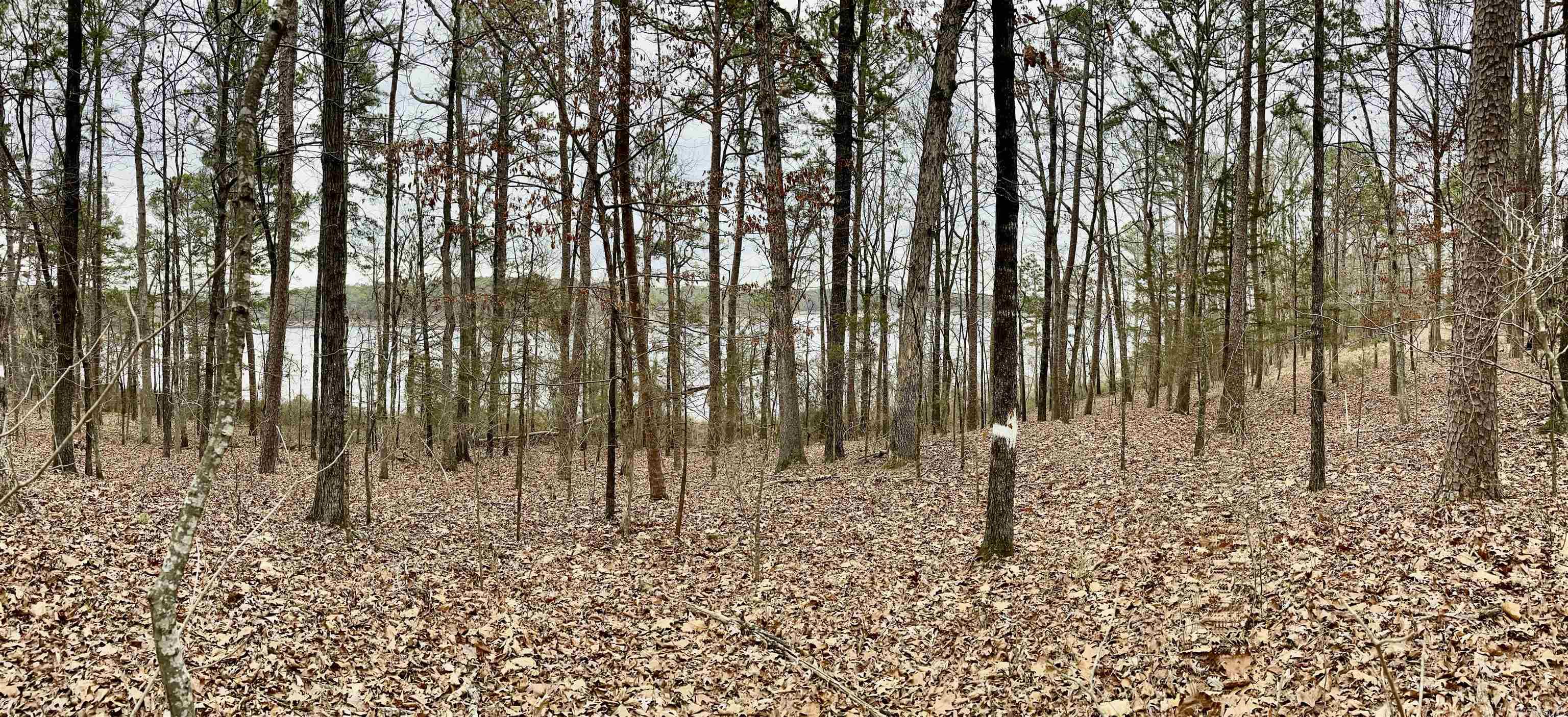 35  Parrott Point  Drasco, AR