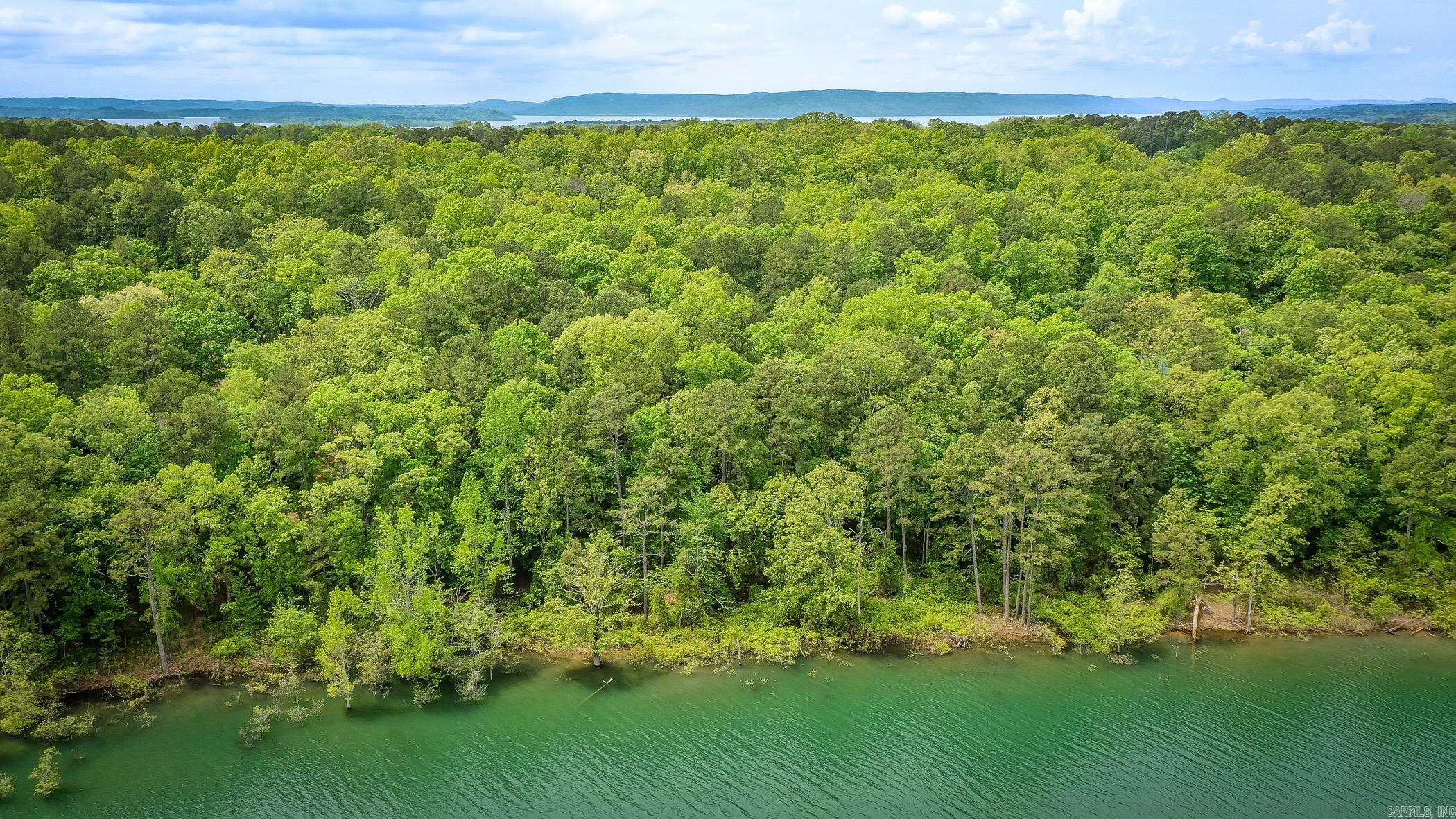 35  Parrott Point  Drasco, AR