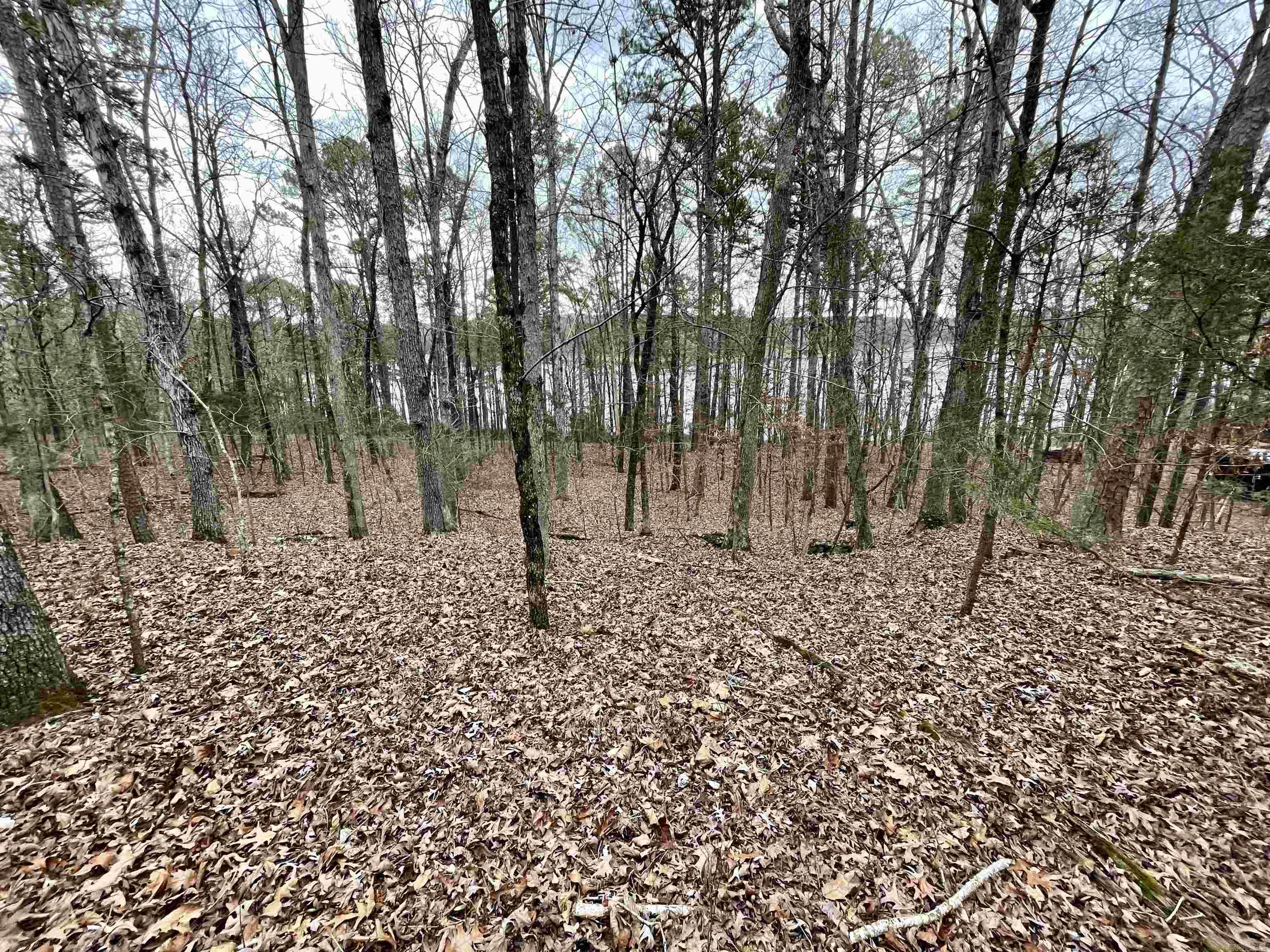 35  Parrott Point  Drasco, AR