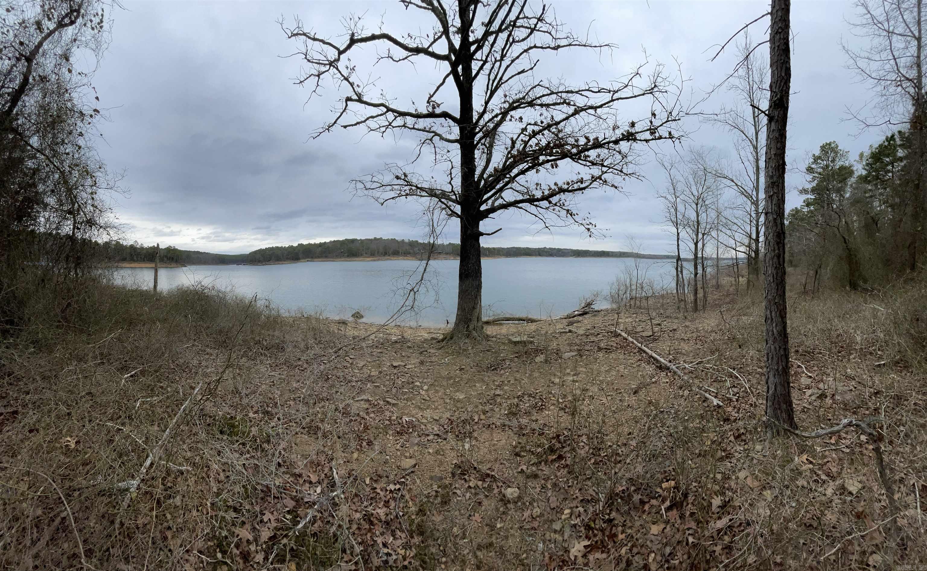 35  Parrott Point  Drasco, AR