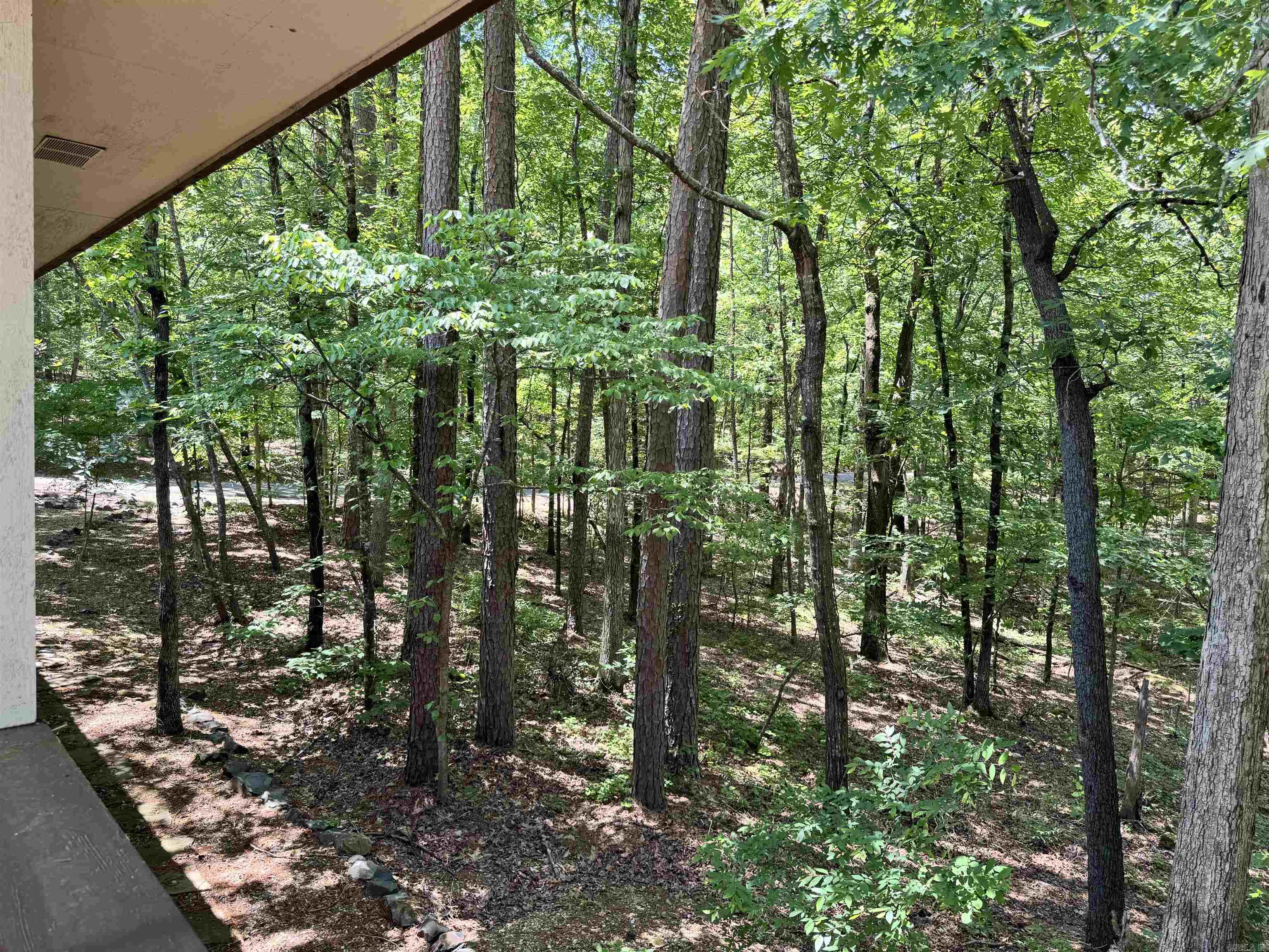 50  Monovar  Hot Springs Village, AR
