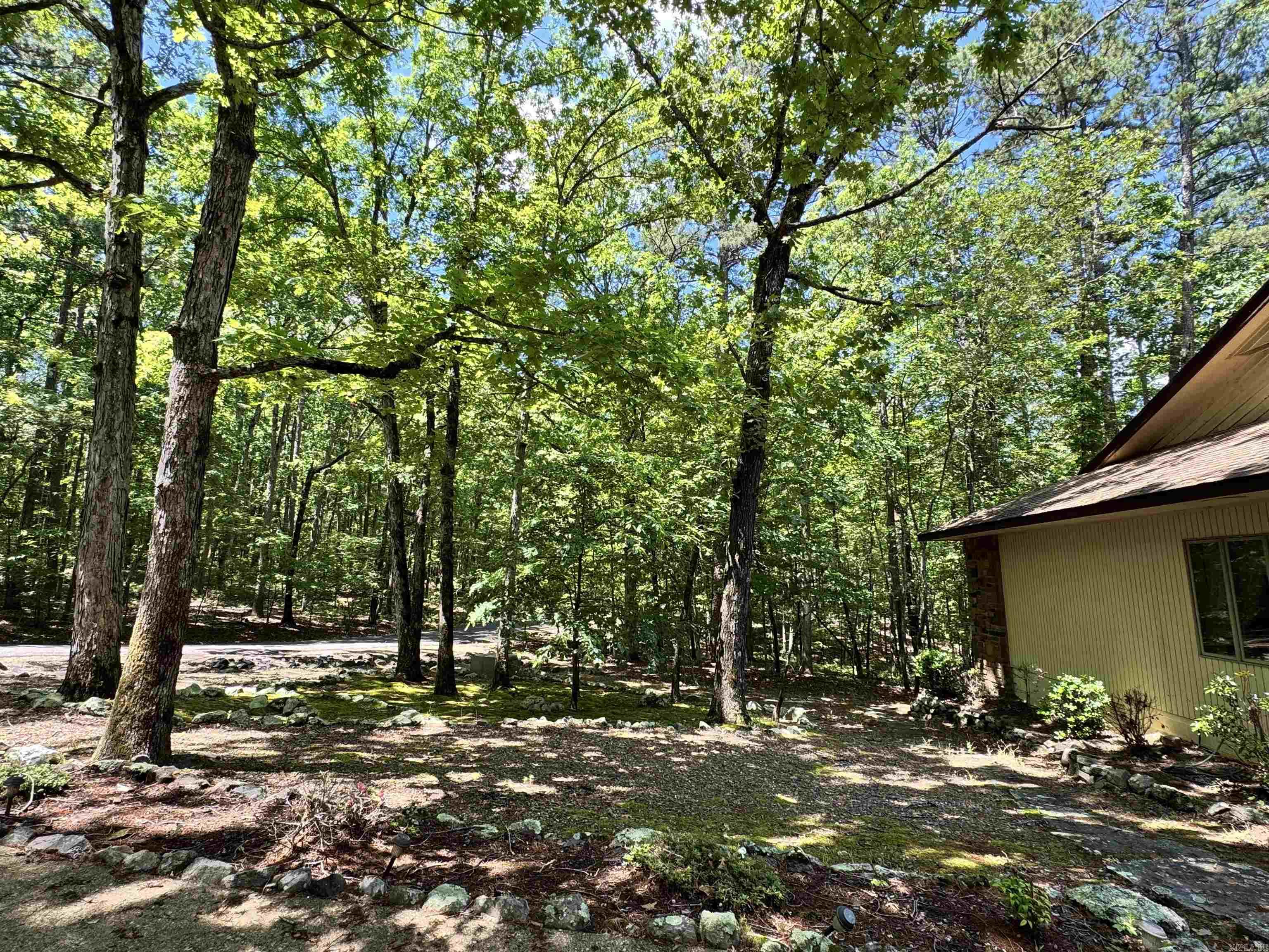 50  Monovar  Hot Springs Village, AR