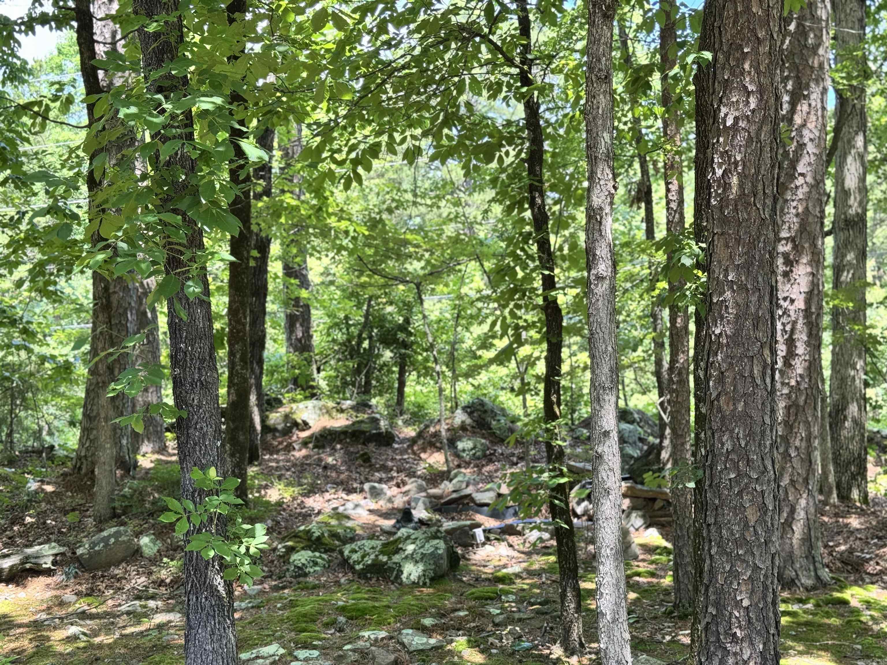 50  Monovar  Hot Springs Village, AR