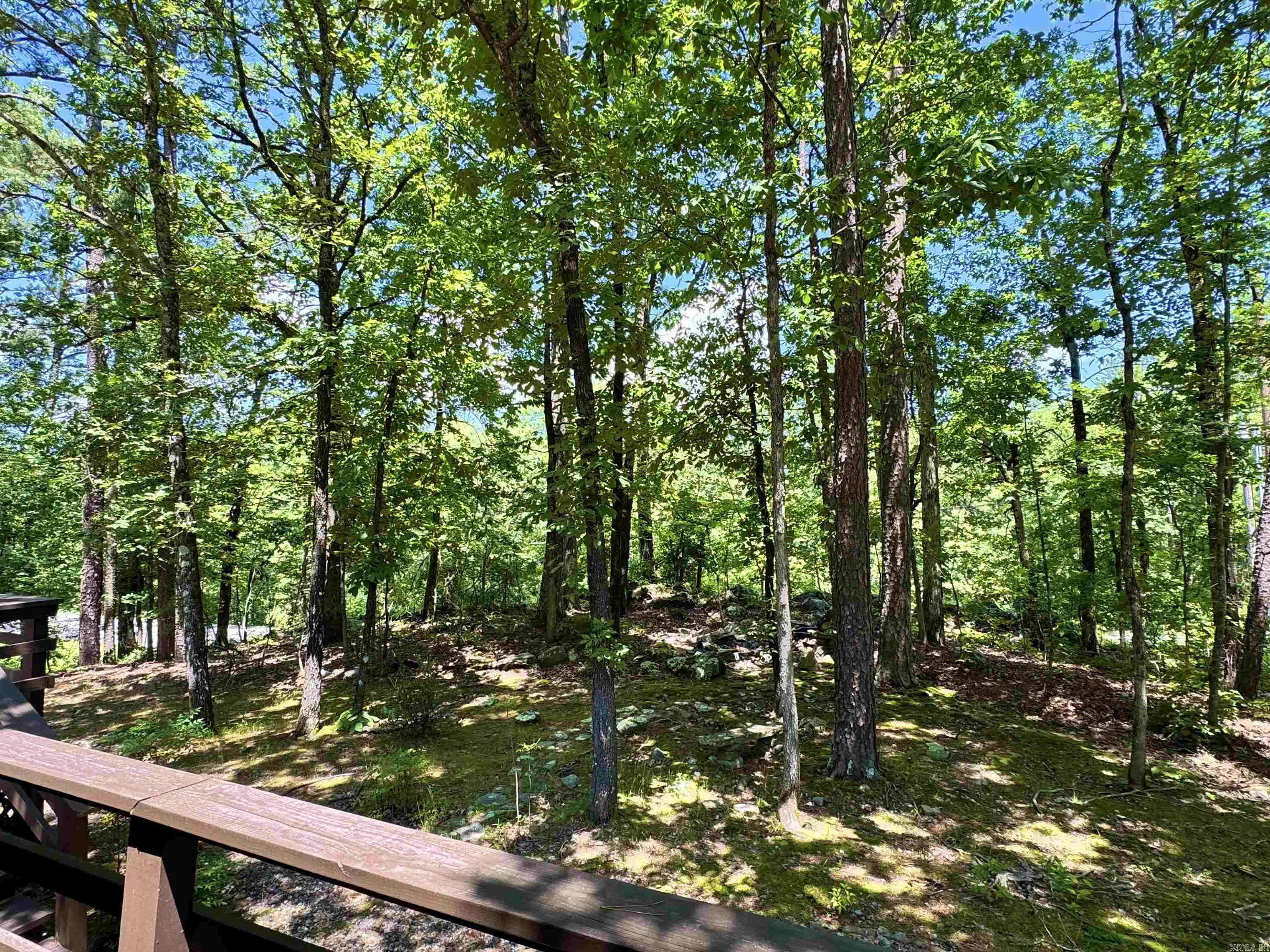 50  Monovar  Hot Springs Village, AR