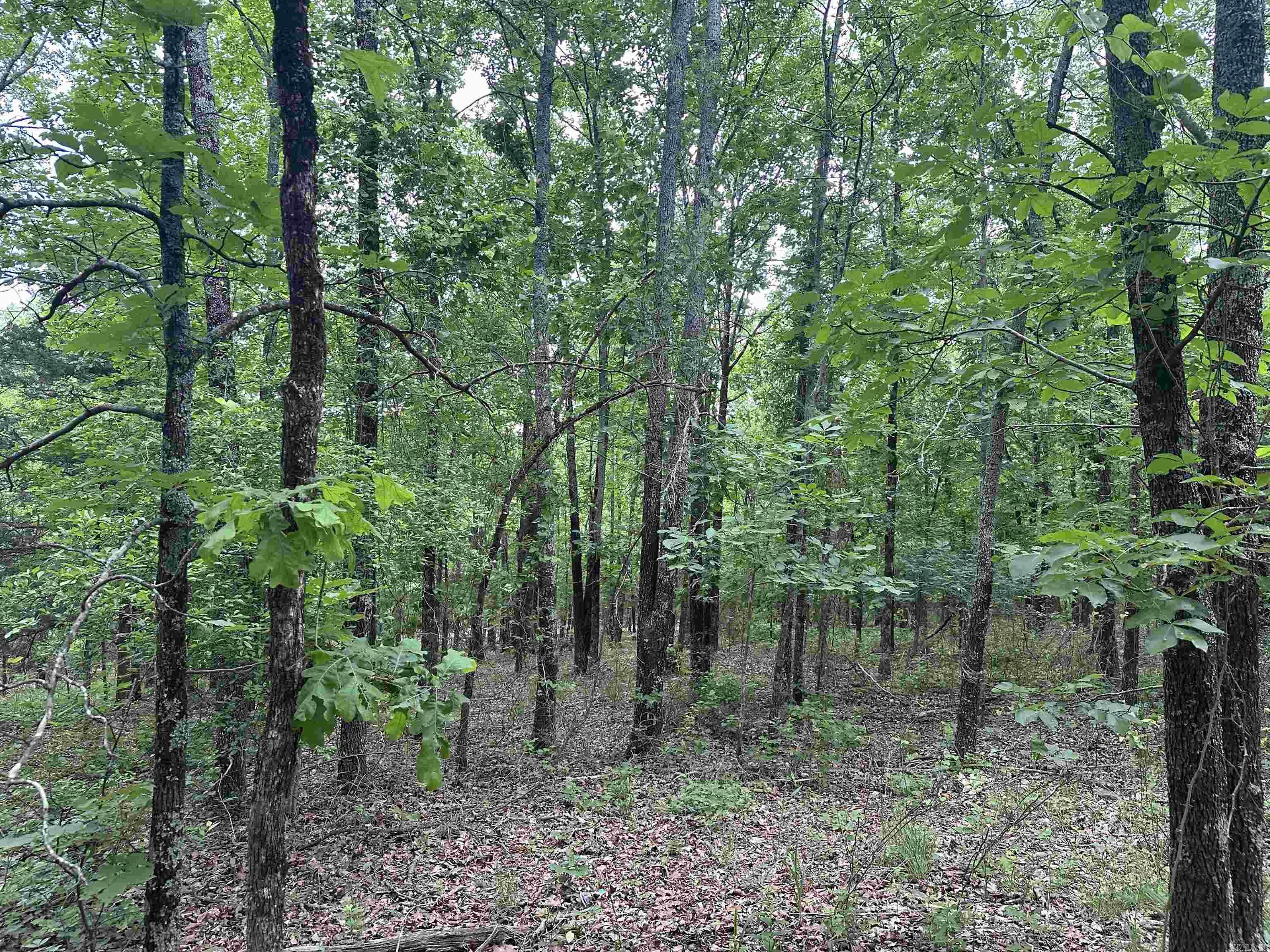 0  Shiloh  McRae, AR
