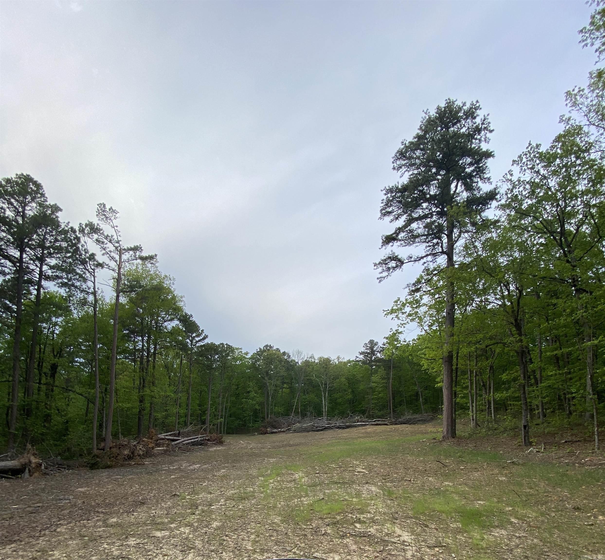 952 Wildwood Lane Marshall, AR 72650