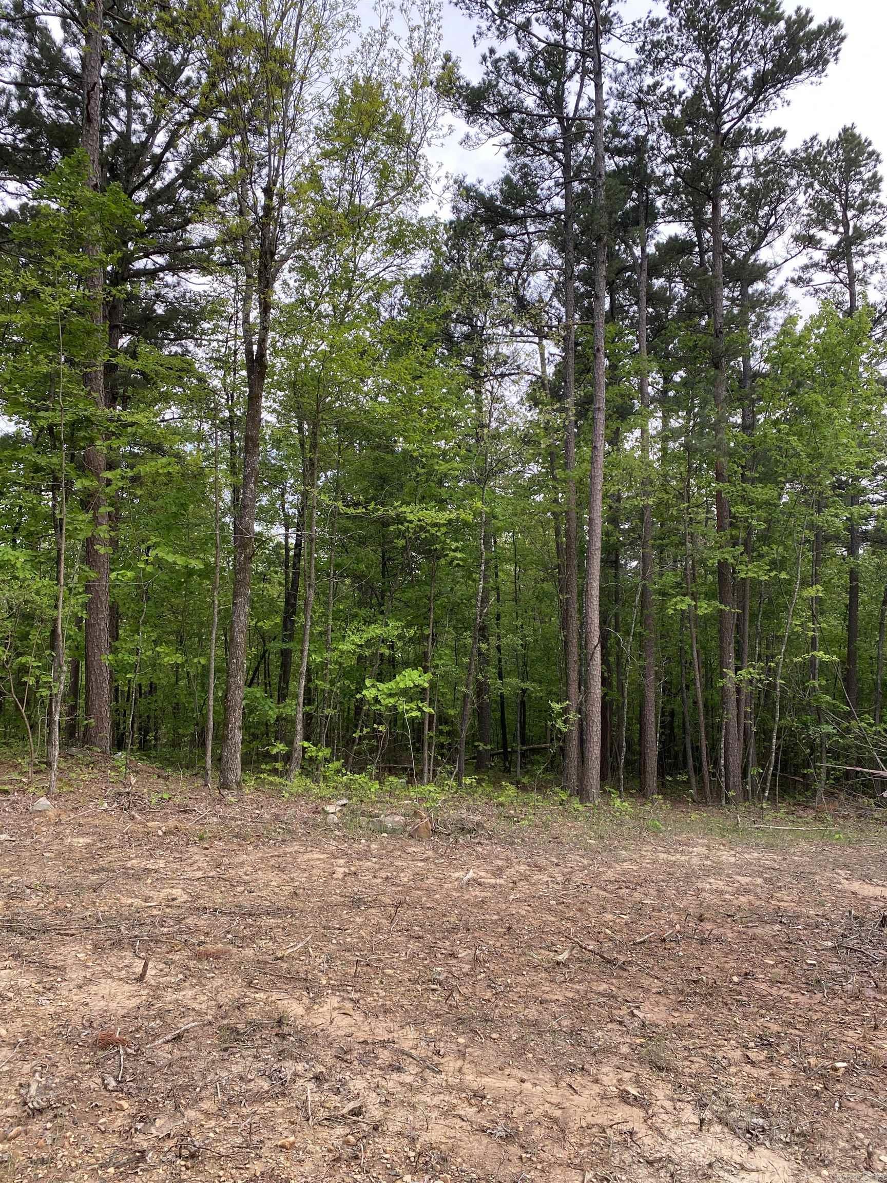 952 Wildwood Lane Marshall, AR 72650