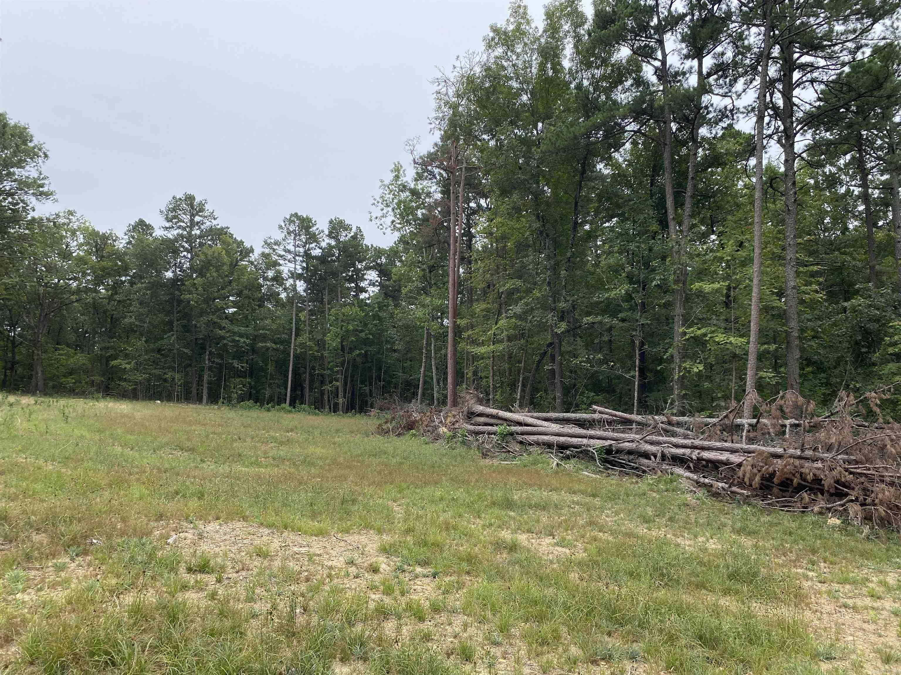 952 Wildwood  Marshall, AR