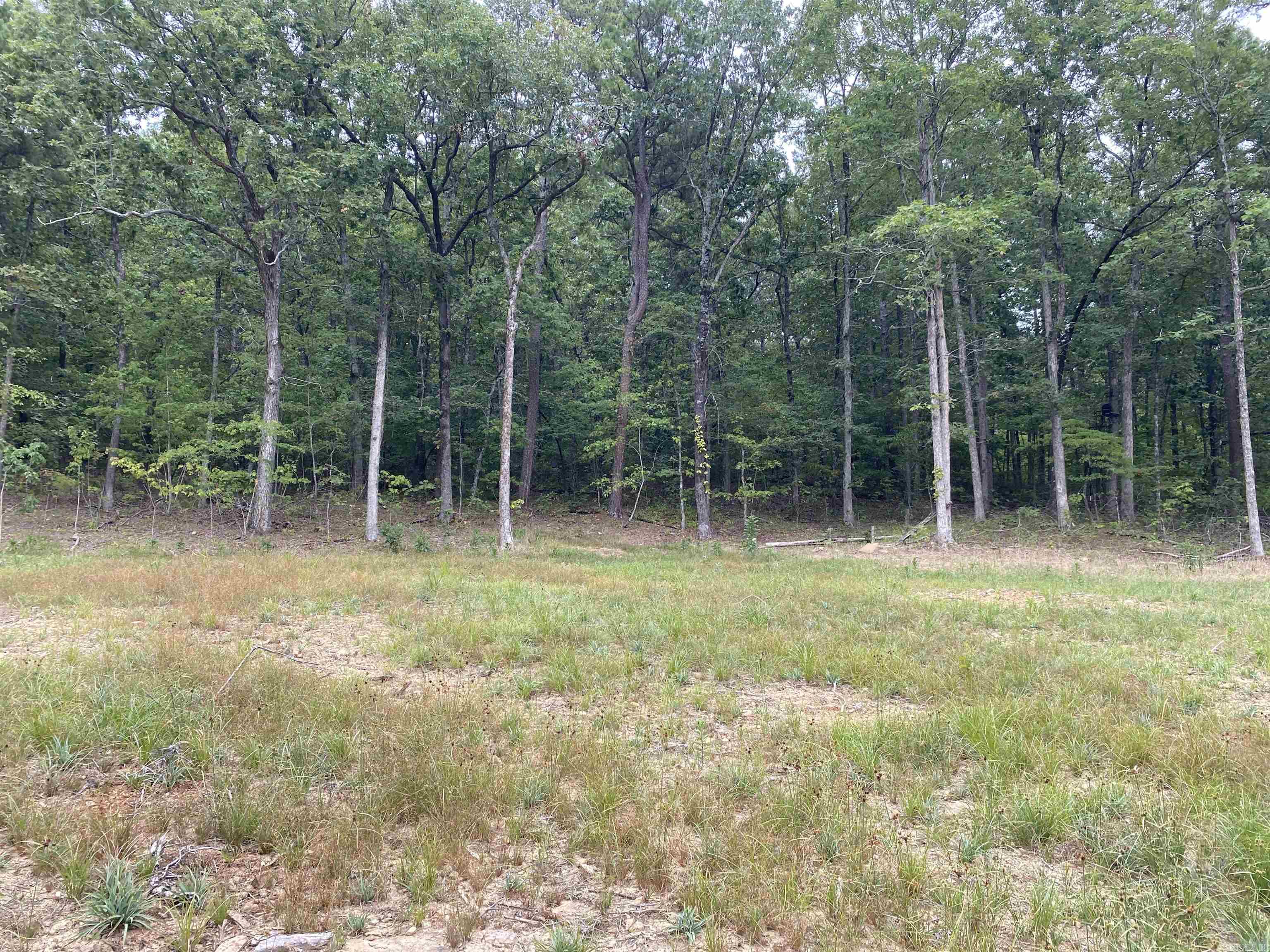 952 Wildwood  Marshall, AR