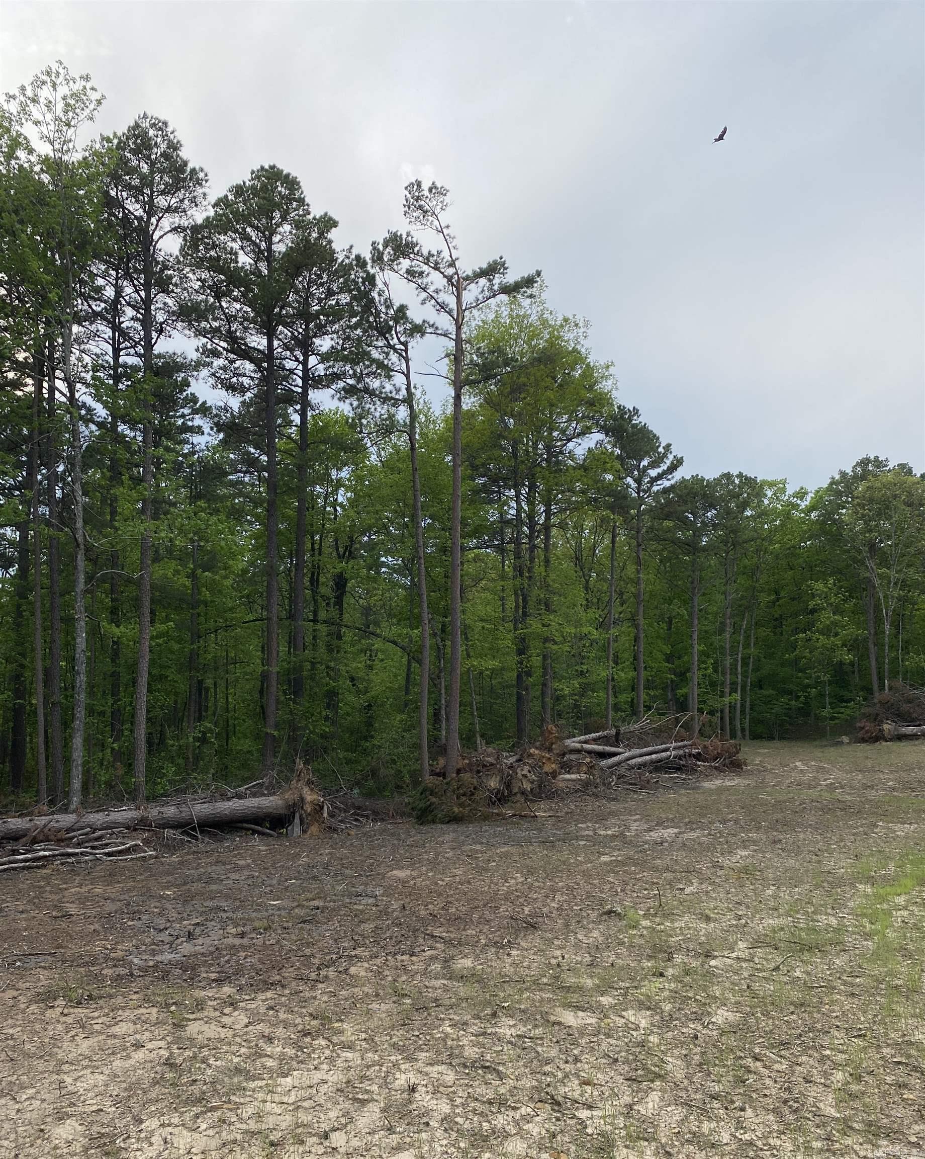 952 Wildwood Lane Marshall, AR 72650