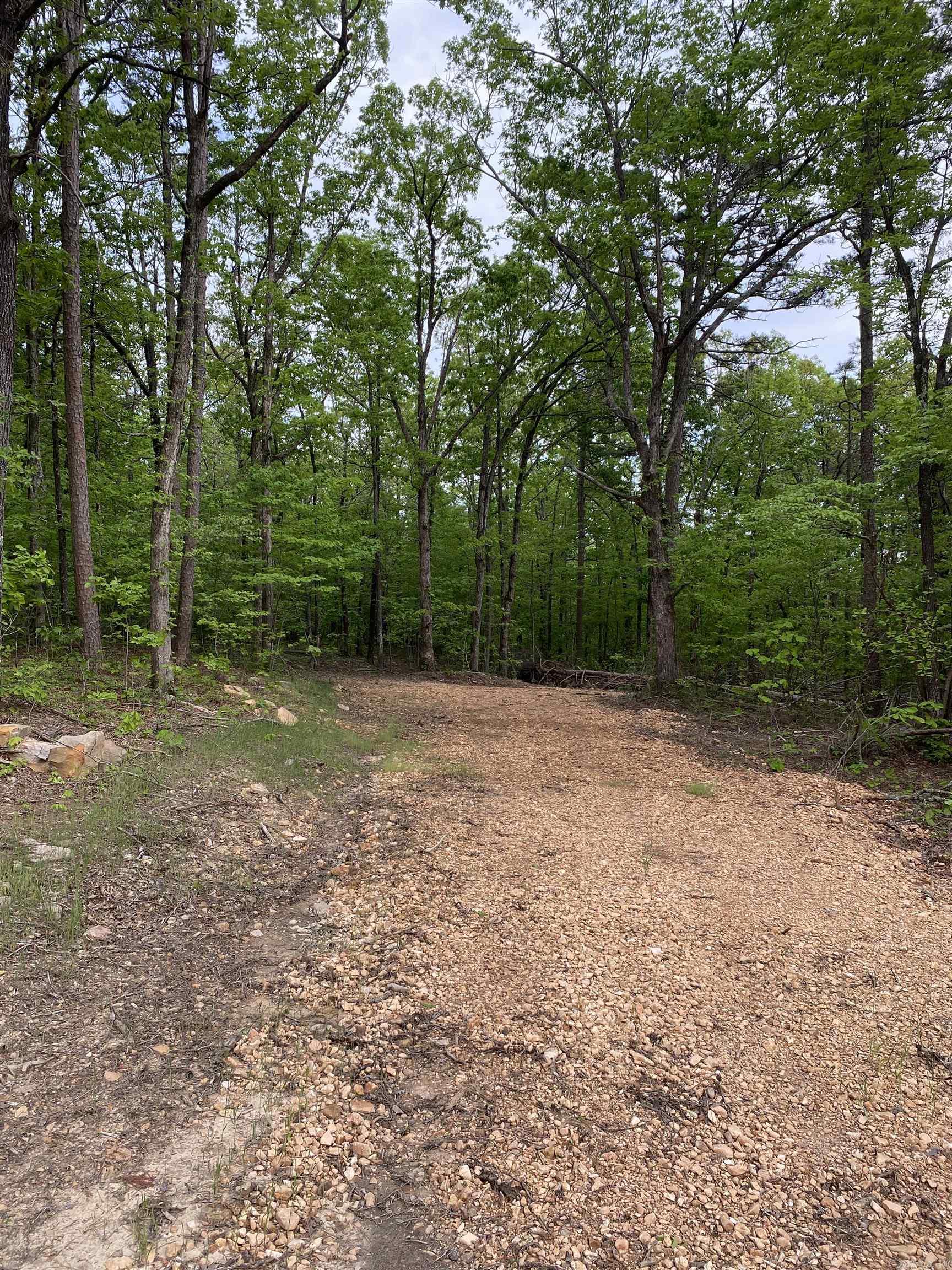 952 Wildwood Lane Marshall, AR 72650