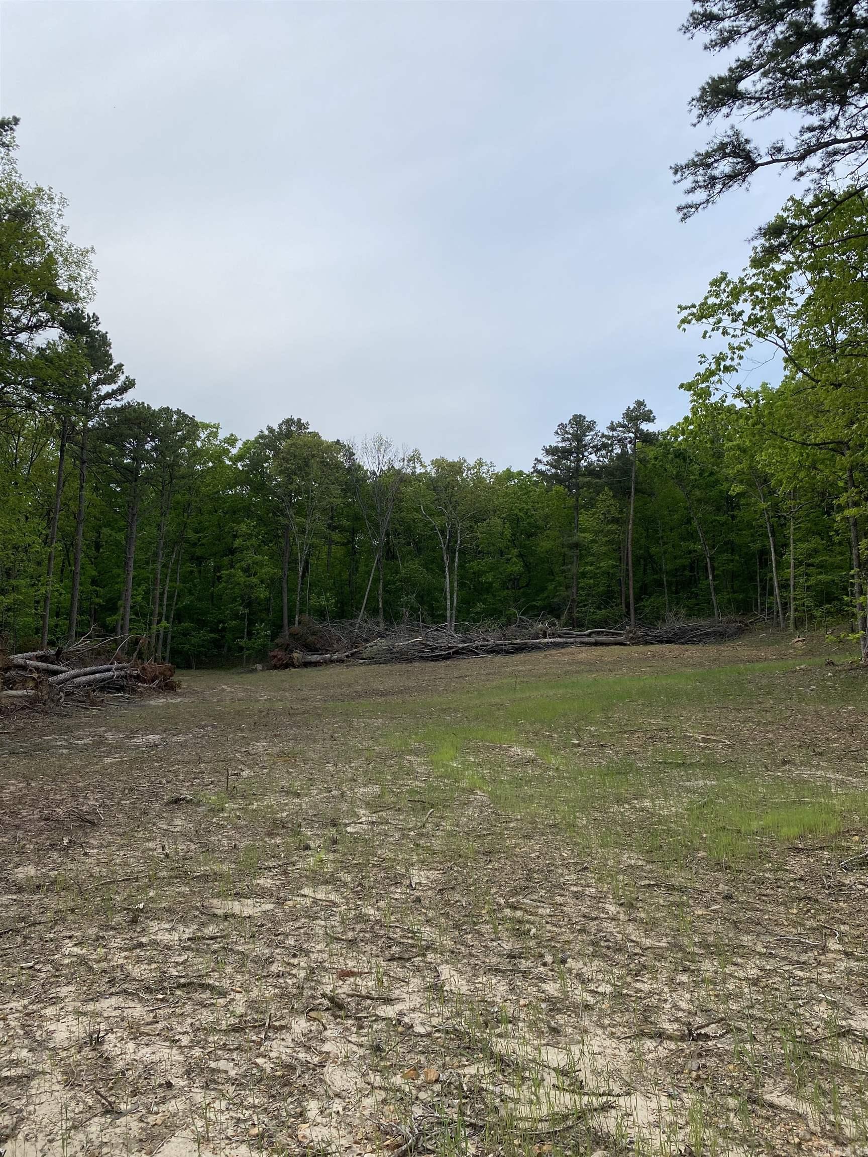 952 Wildwood Lane Marshall, AR 72650