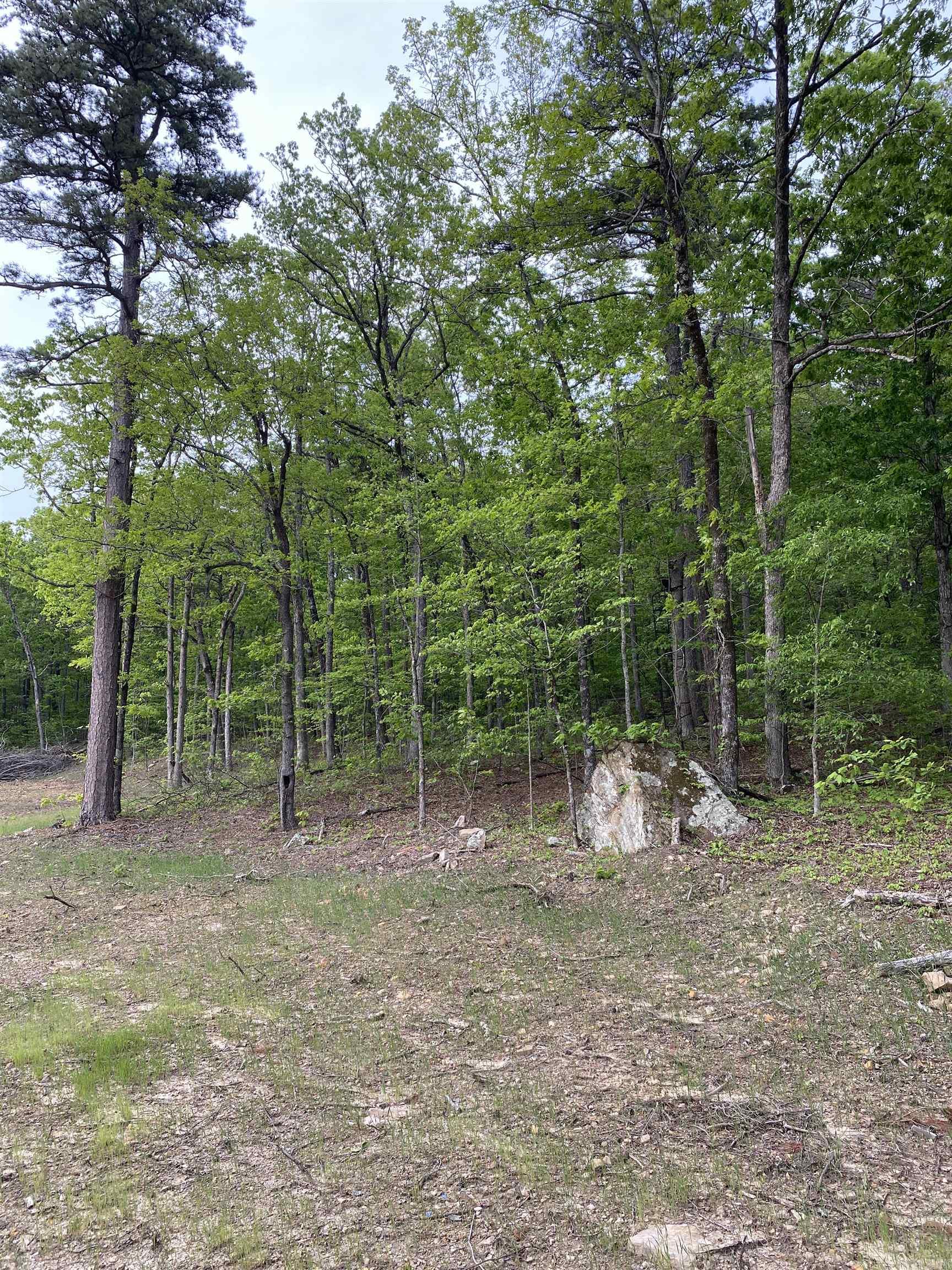 952 Wildwood Lane Marshall, AR 72650