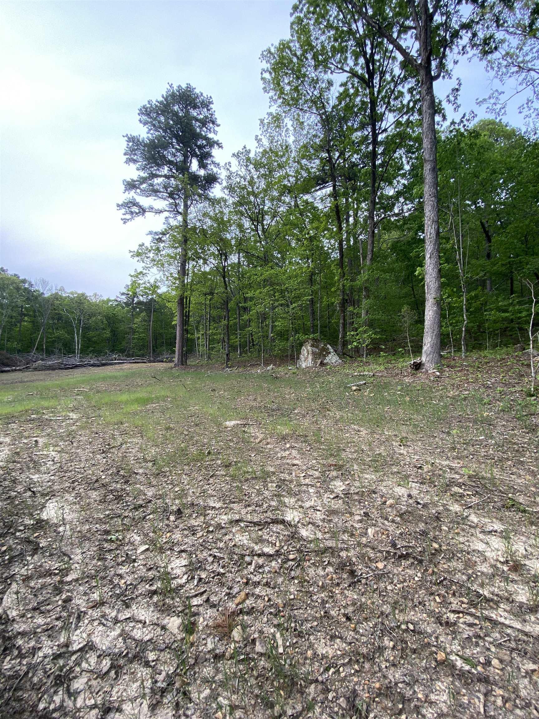 952 Wildwood Lane Marshall, AR 72650