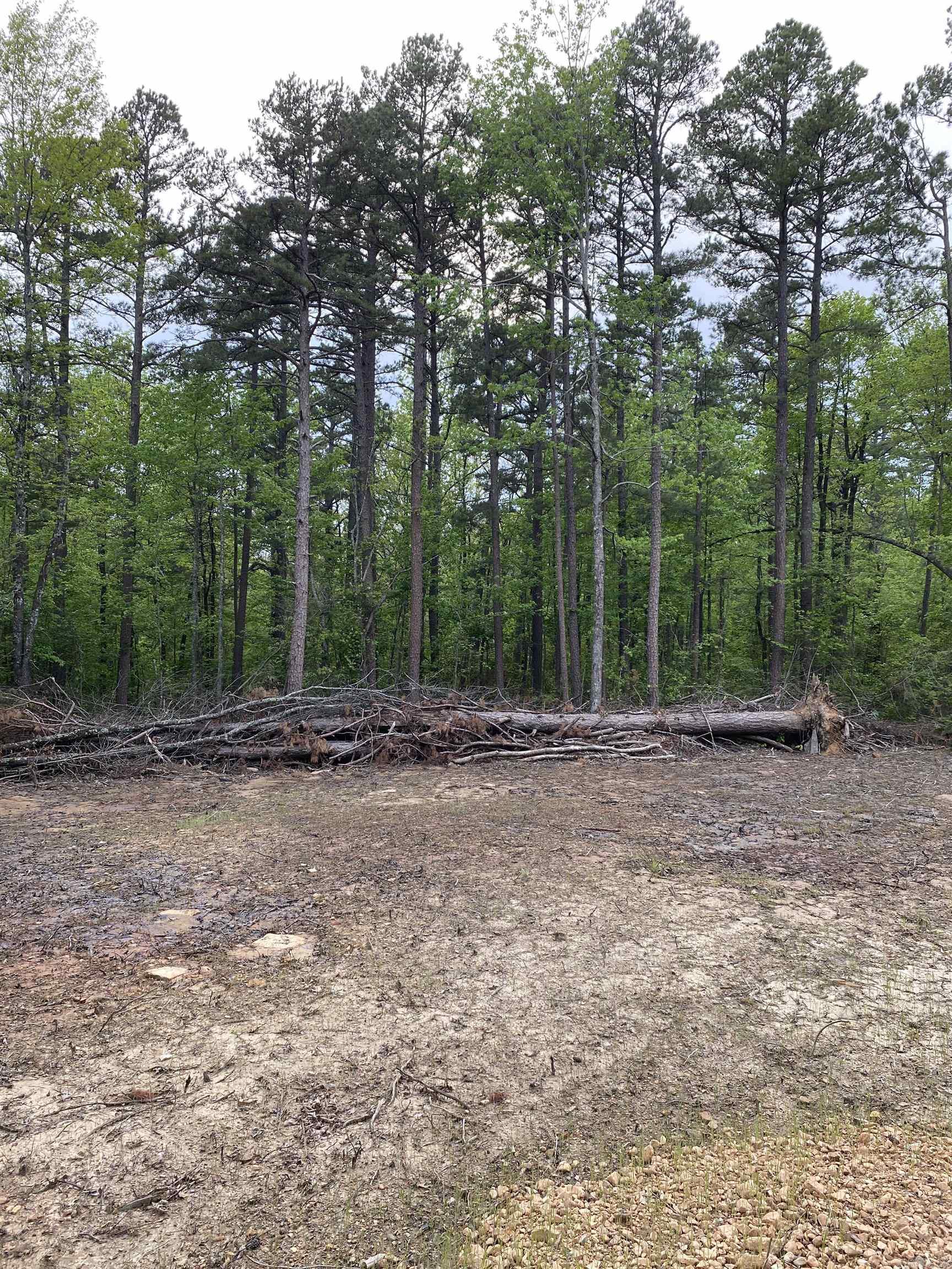 952 Wildwood Lane Marshall, AR 72650