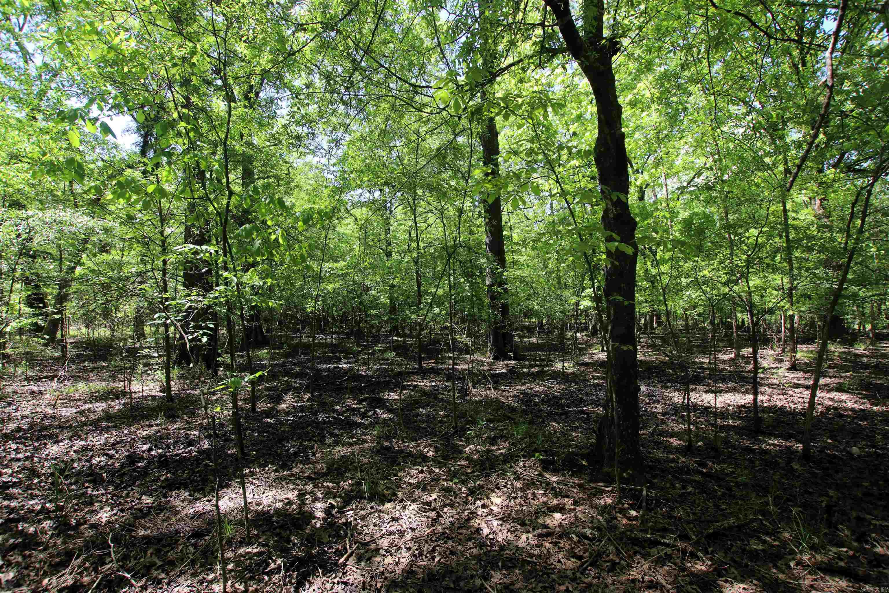 000  Wooten  North Little Rock, AR