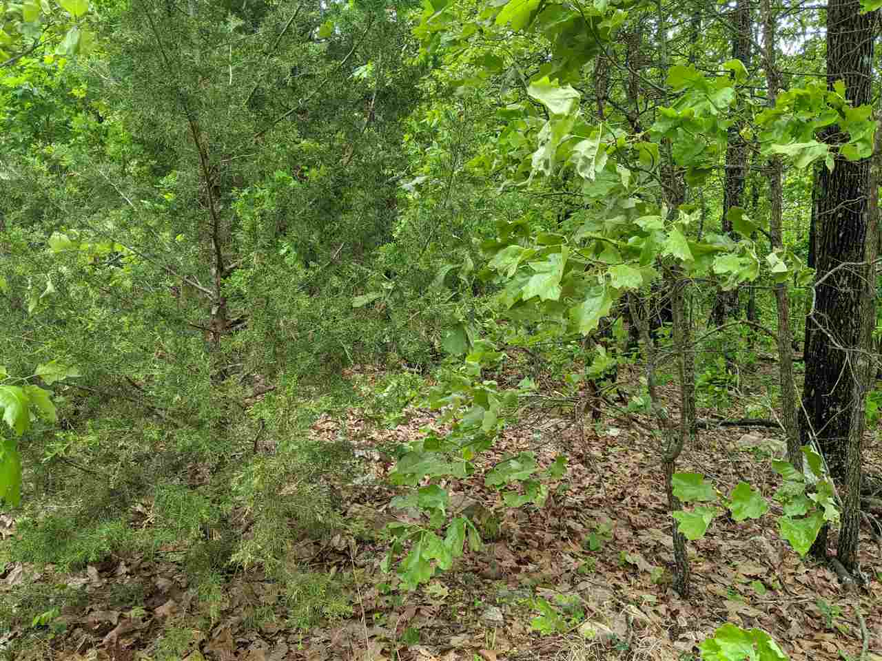 803 S Springfield  Horseshoe Bend, AR