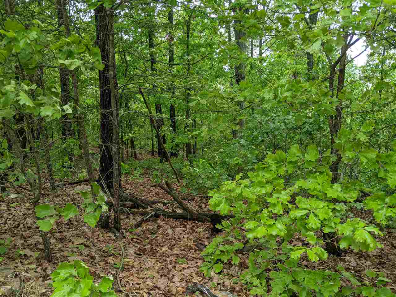 803 S Springfield  Horseshoe Bend, AR