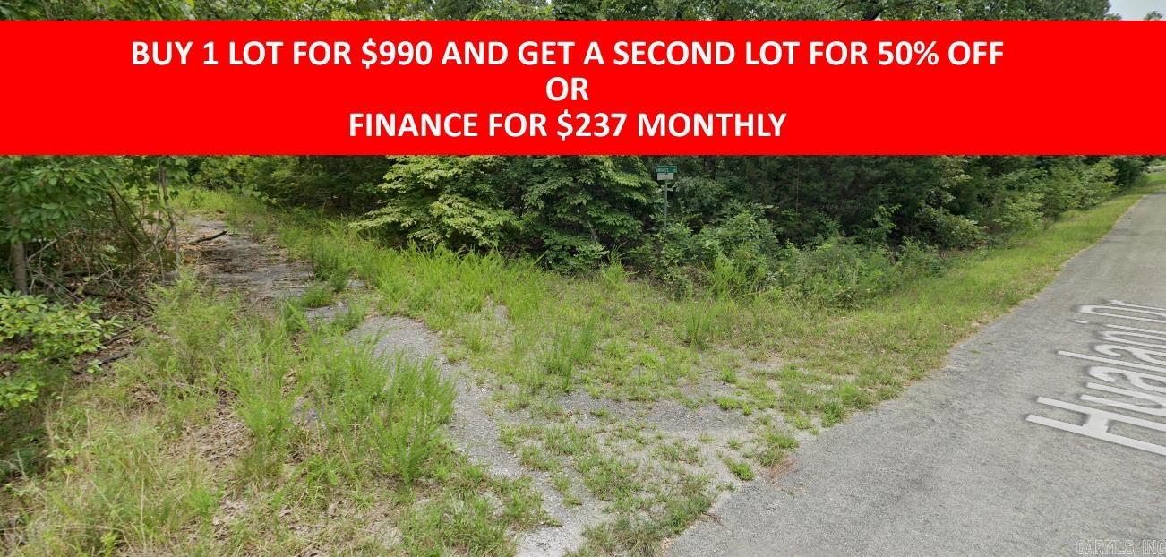 0  Andaste  Cherokee Village, AR