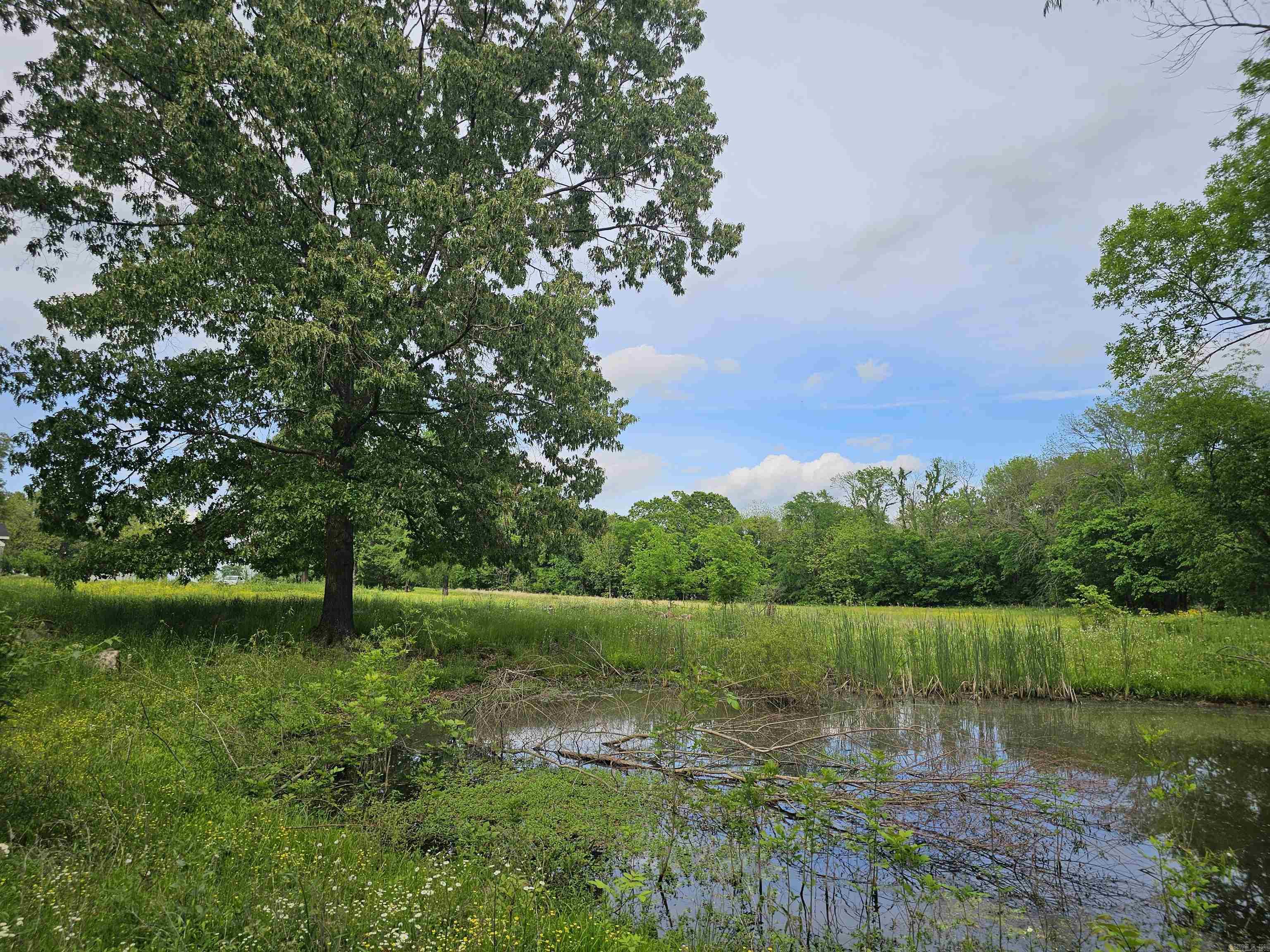 161  Funderburg  Mineral Sprs., AR