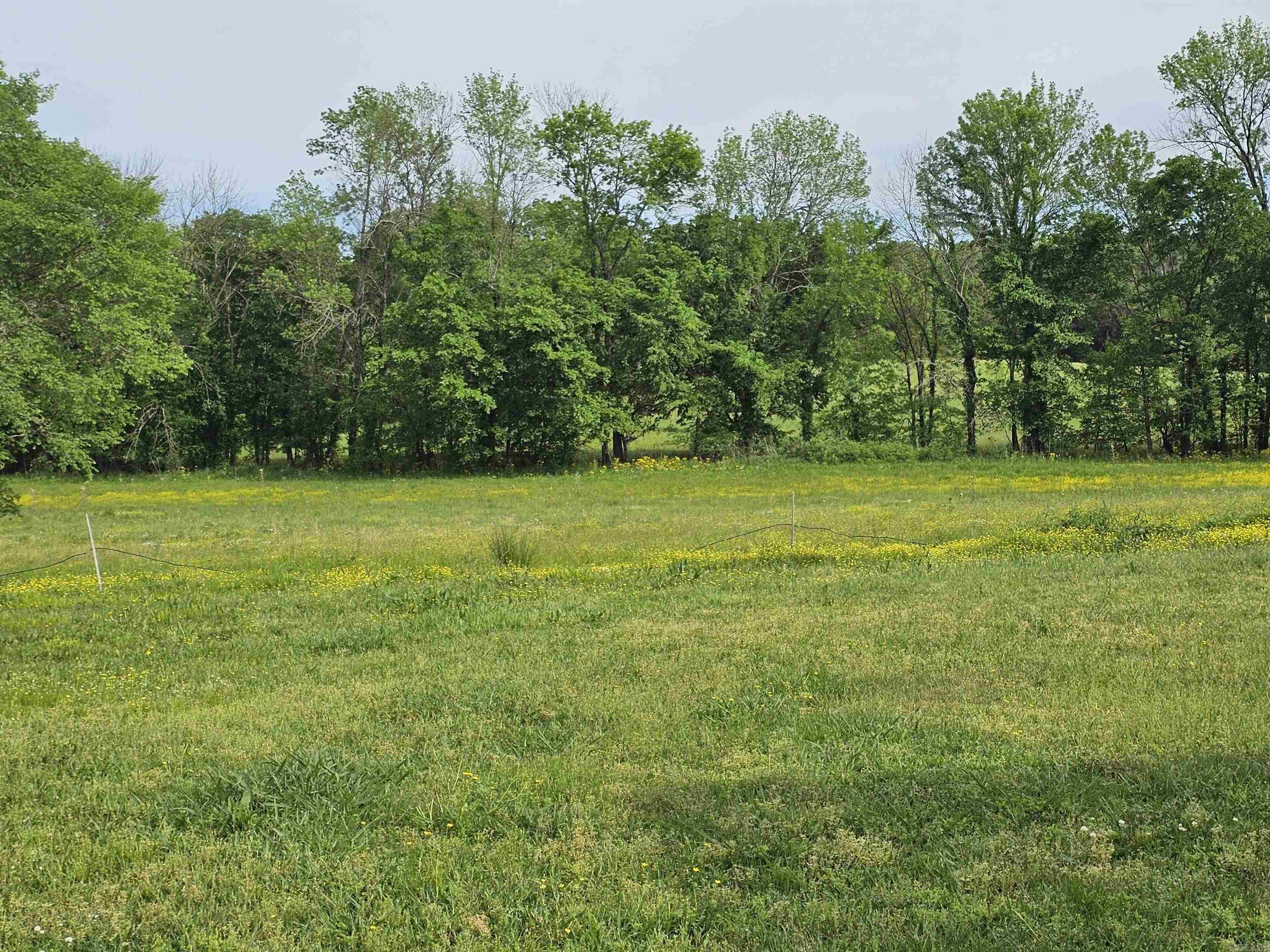161  Funderburg  Mineral Sprs., AR