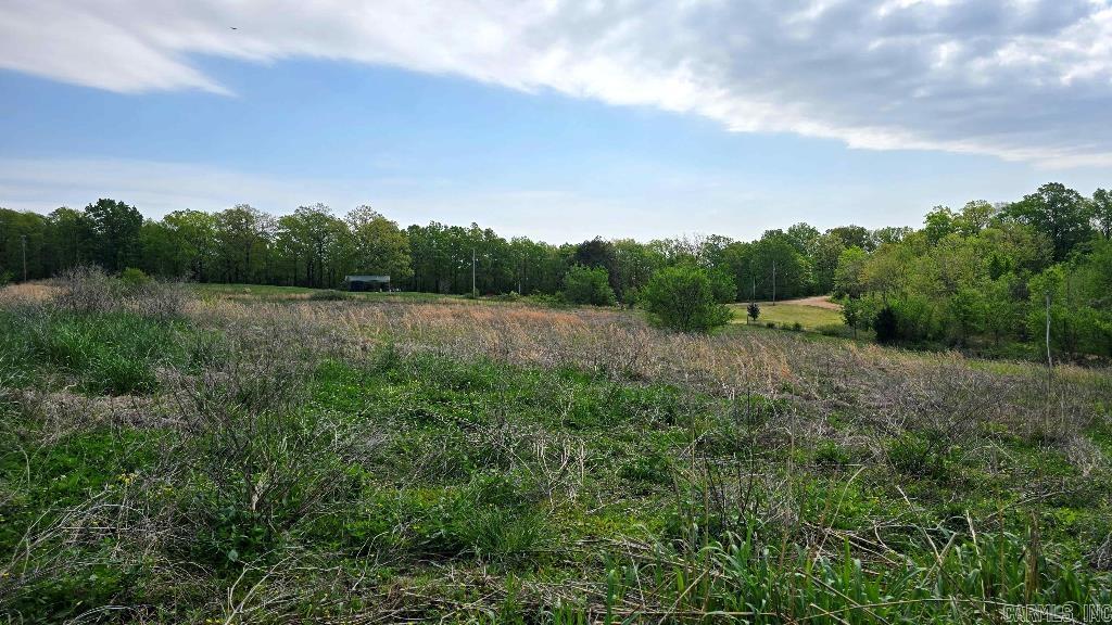 20947  Distress Creek Lot 5 Harrisburg, AR