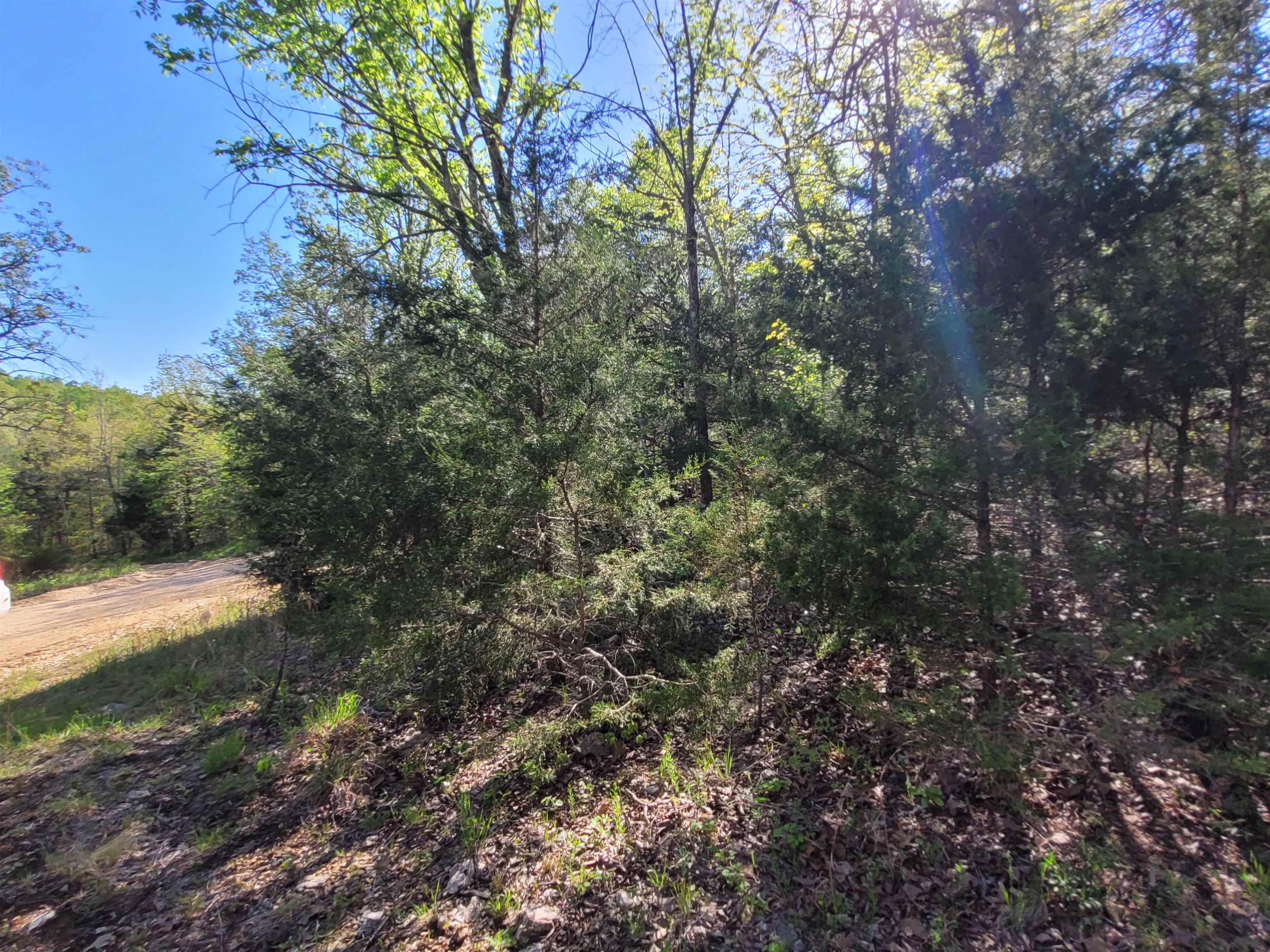 TBD  Indian Valley Trail  Mammoth Spring, AR