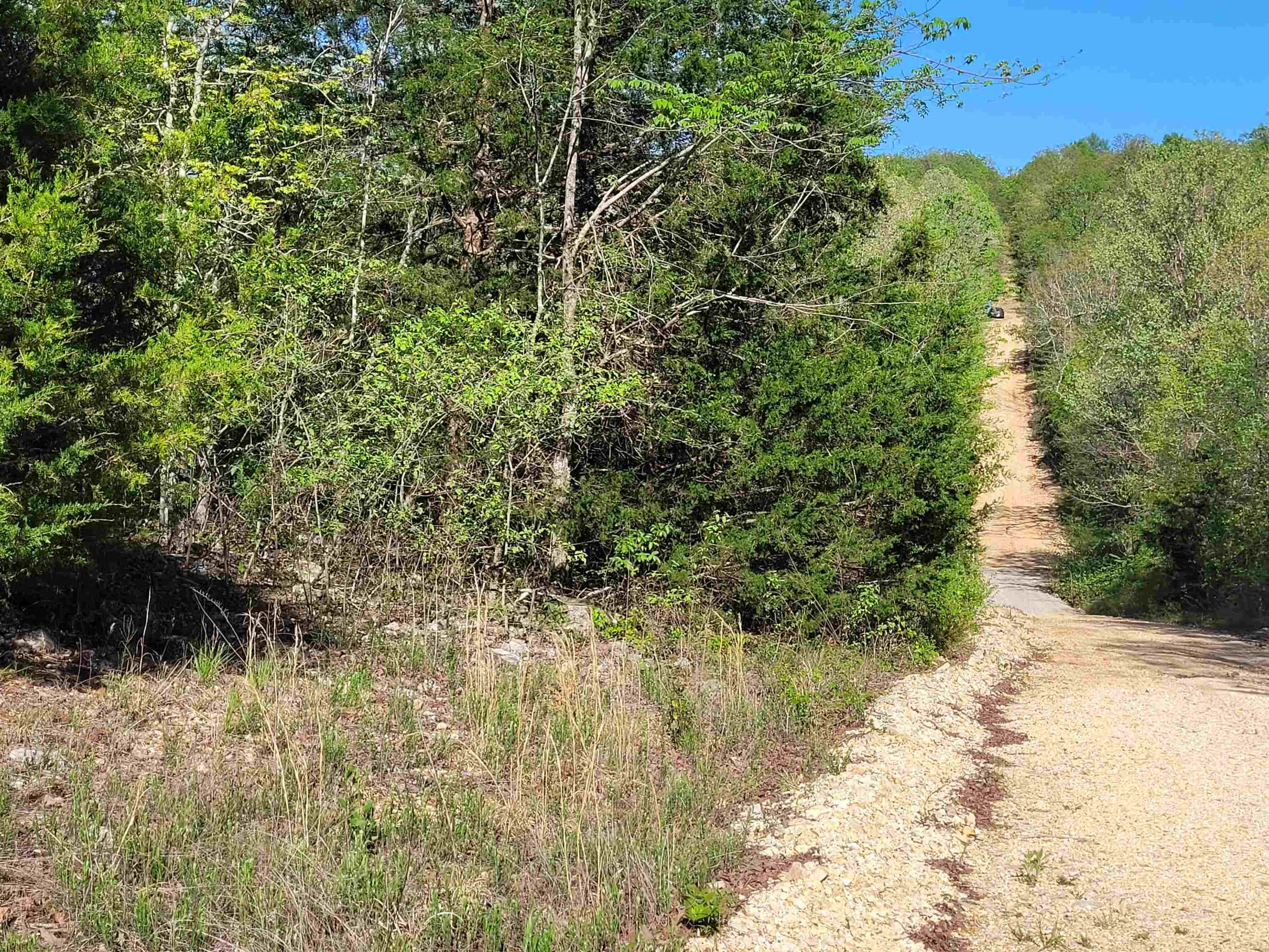 TBD  Indian Valley Trail  Mammoth Spring, AR