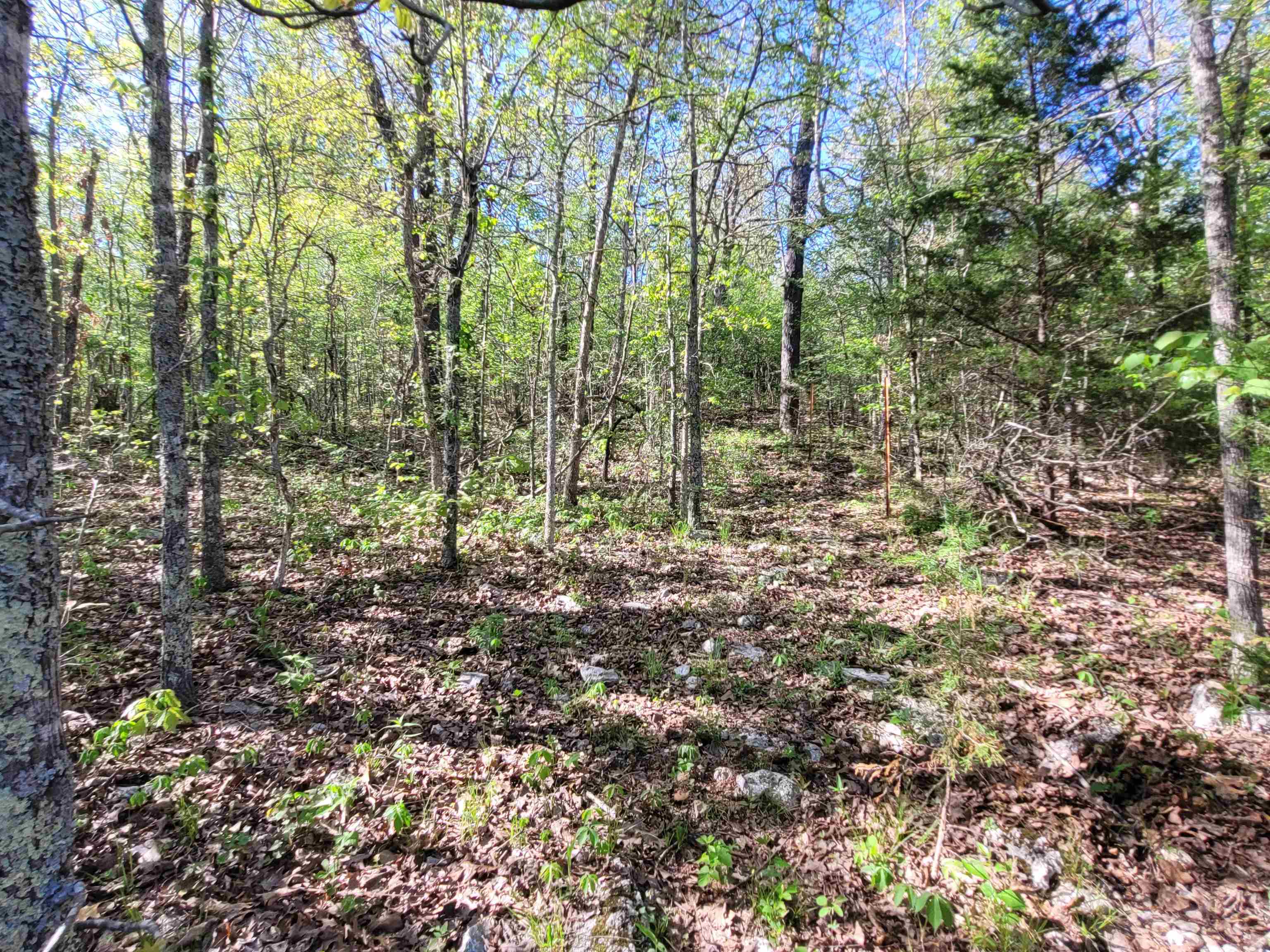 TBD  Indian Valley Trail  Mammoth Spring, AR