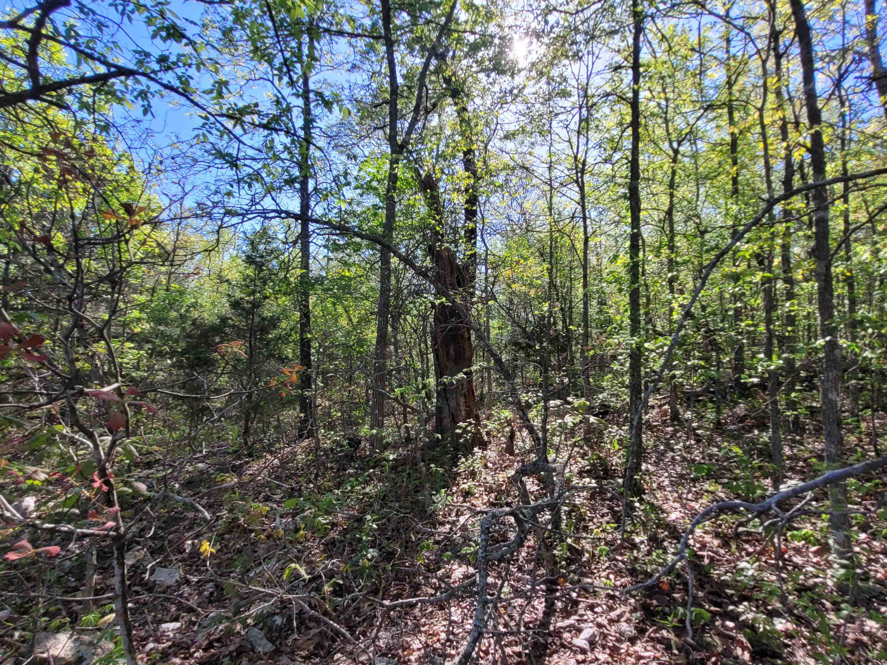 TBD  Indian Valley Trail  Mammoth Spring, AR