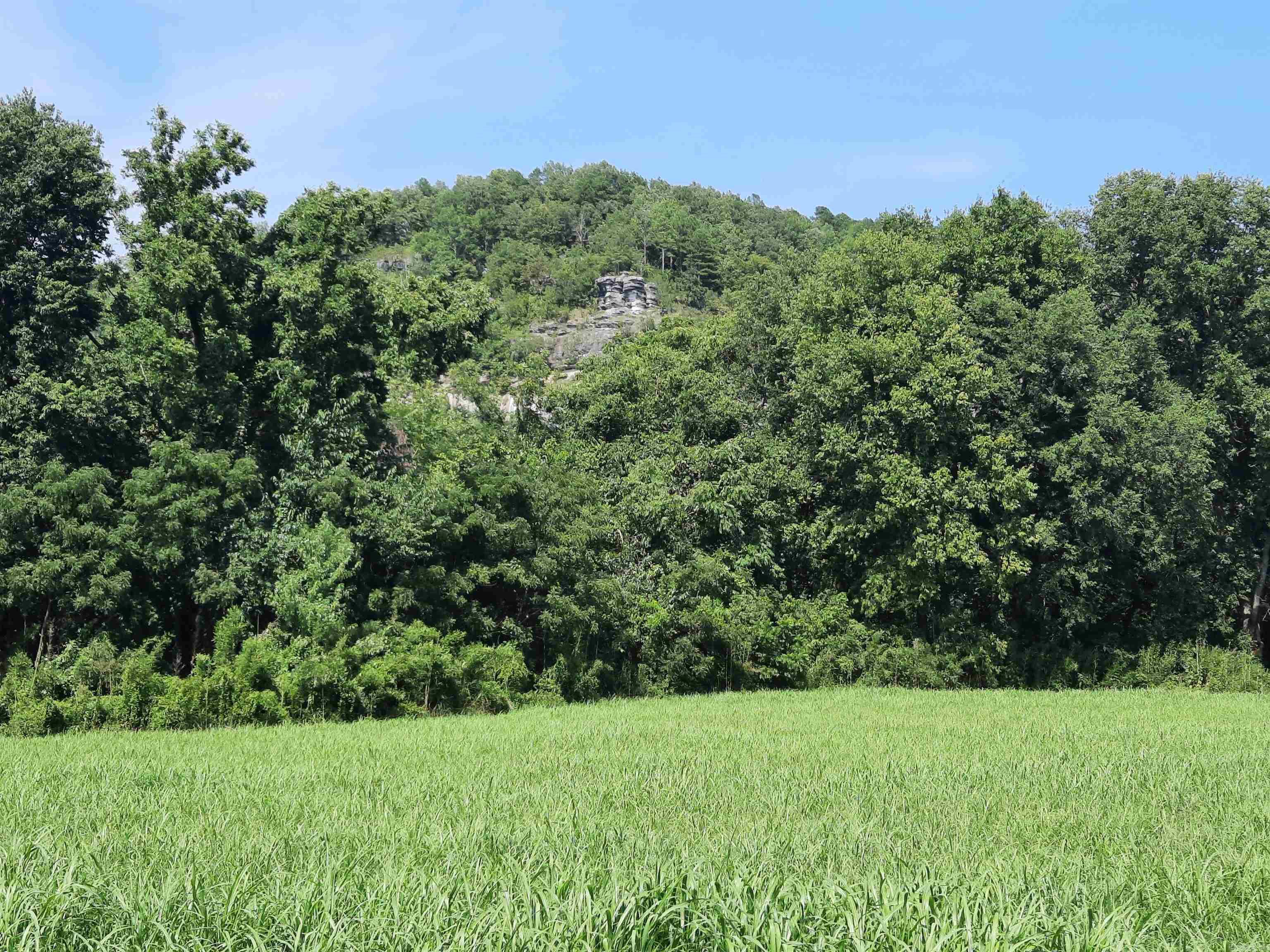 0000  Jellon  Mountain View, AR