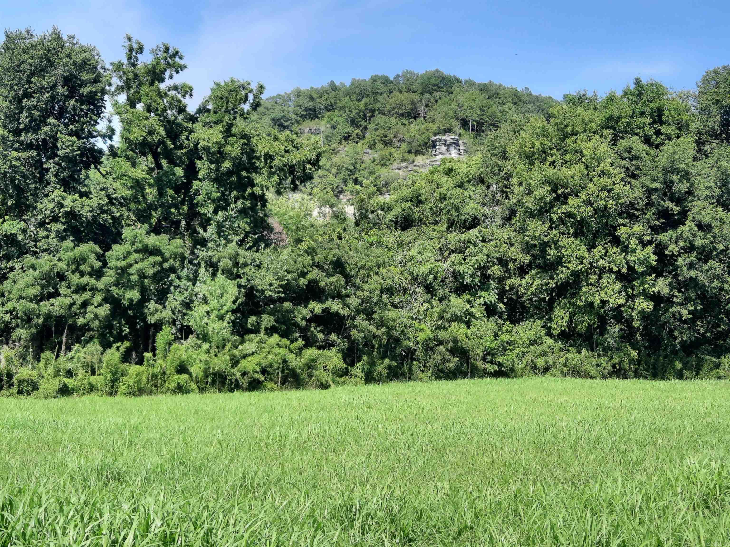 0000  Jellon  Mountain View, AR