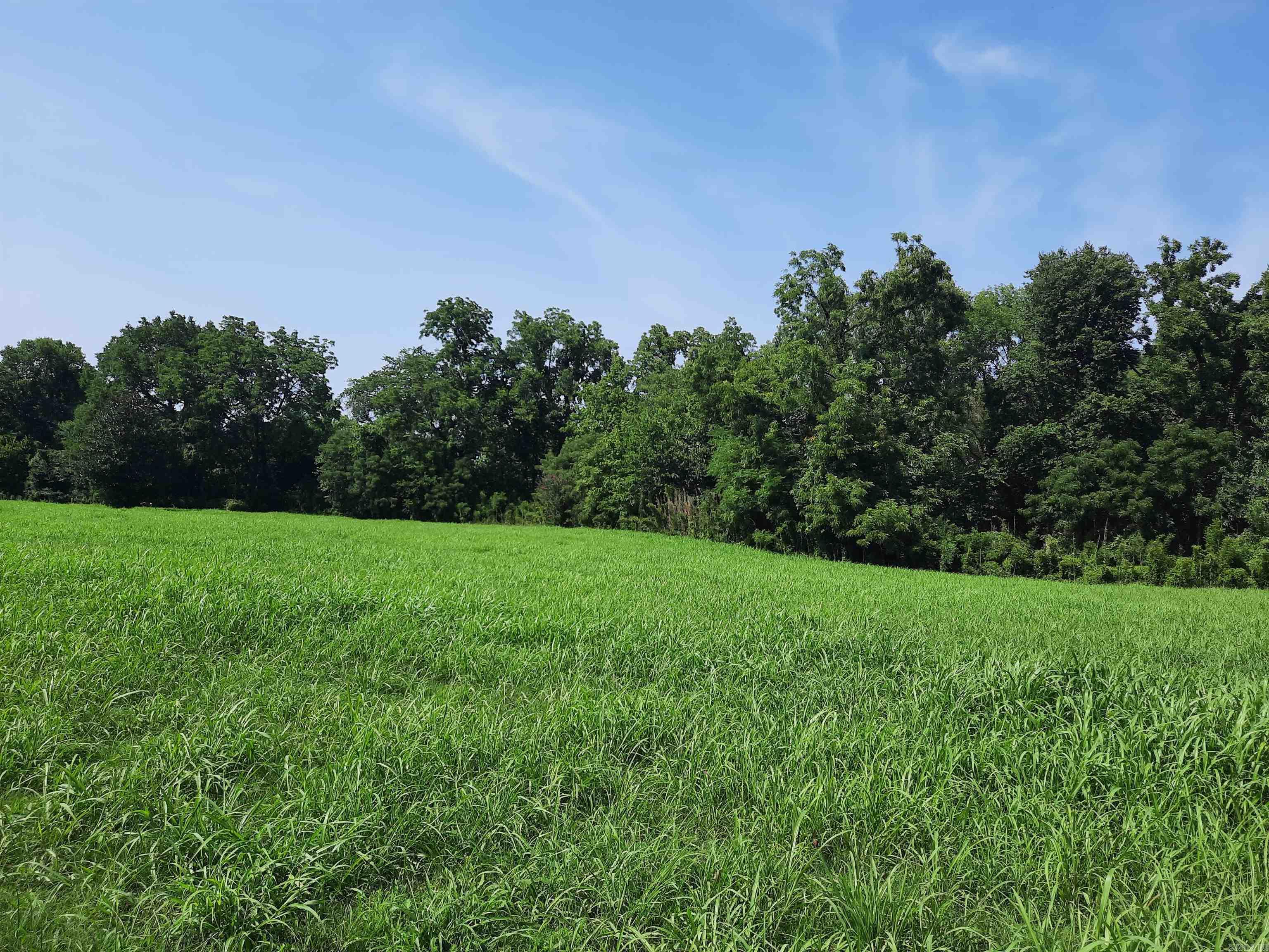 0000  Jellon  Mountain View, AR